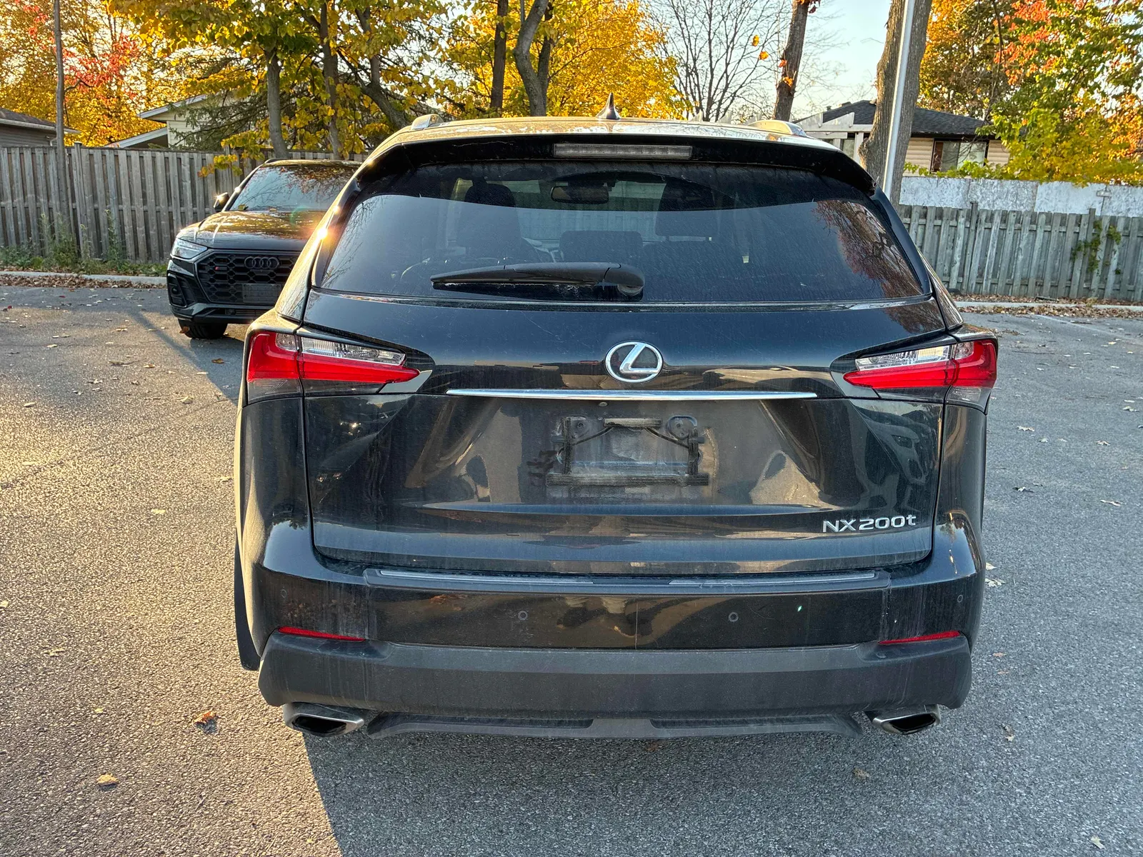 Back