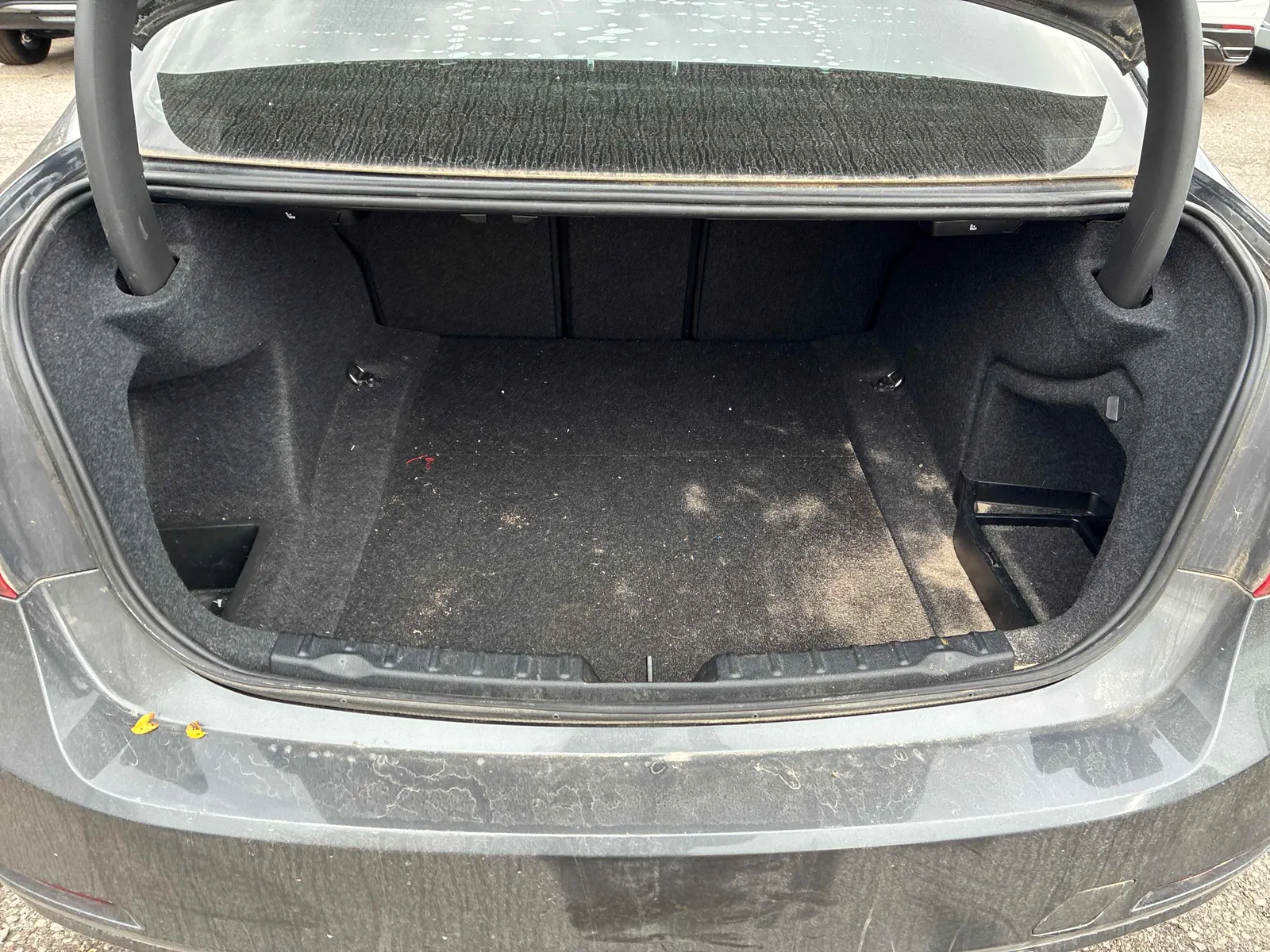 Additional Photo