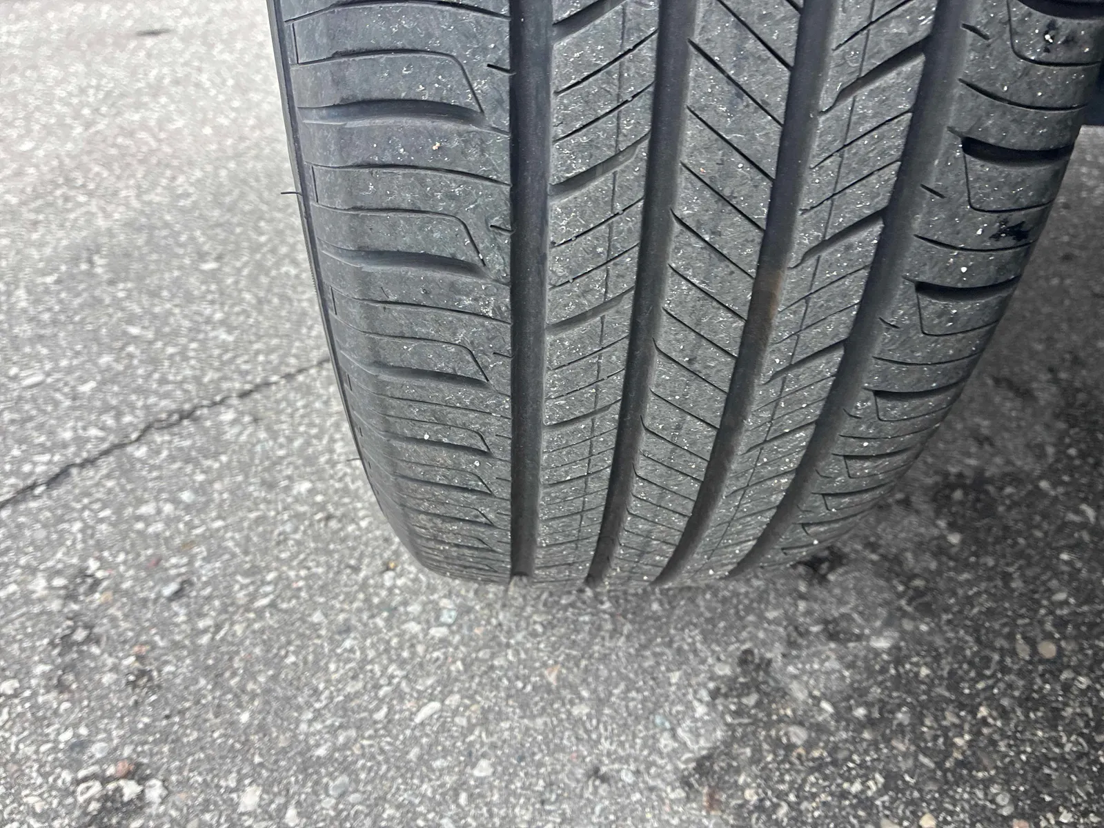Additional Photo
