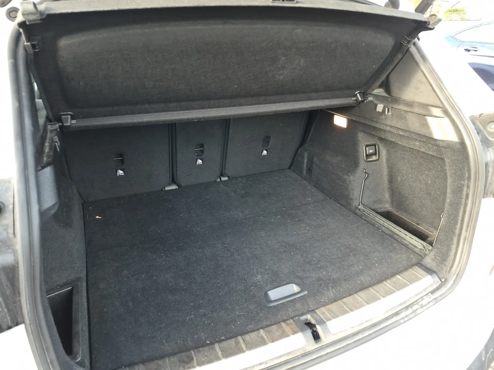 Cargo Area Photo