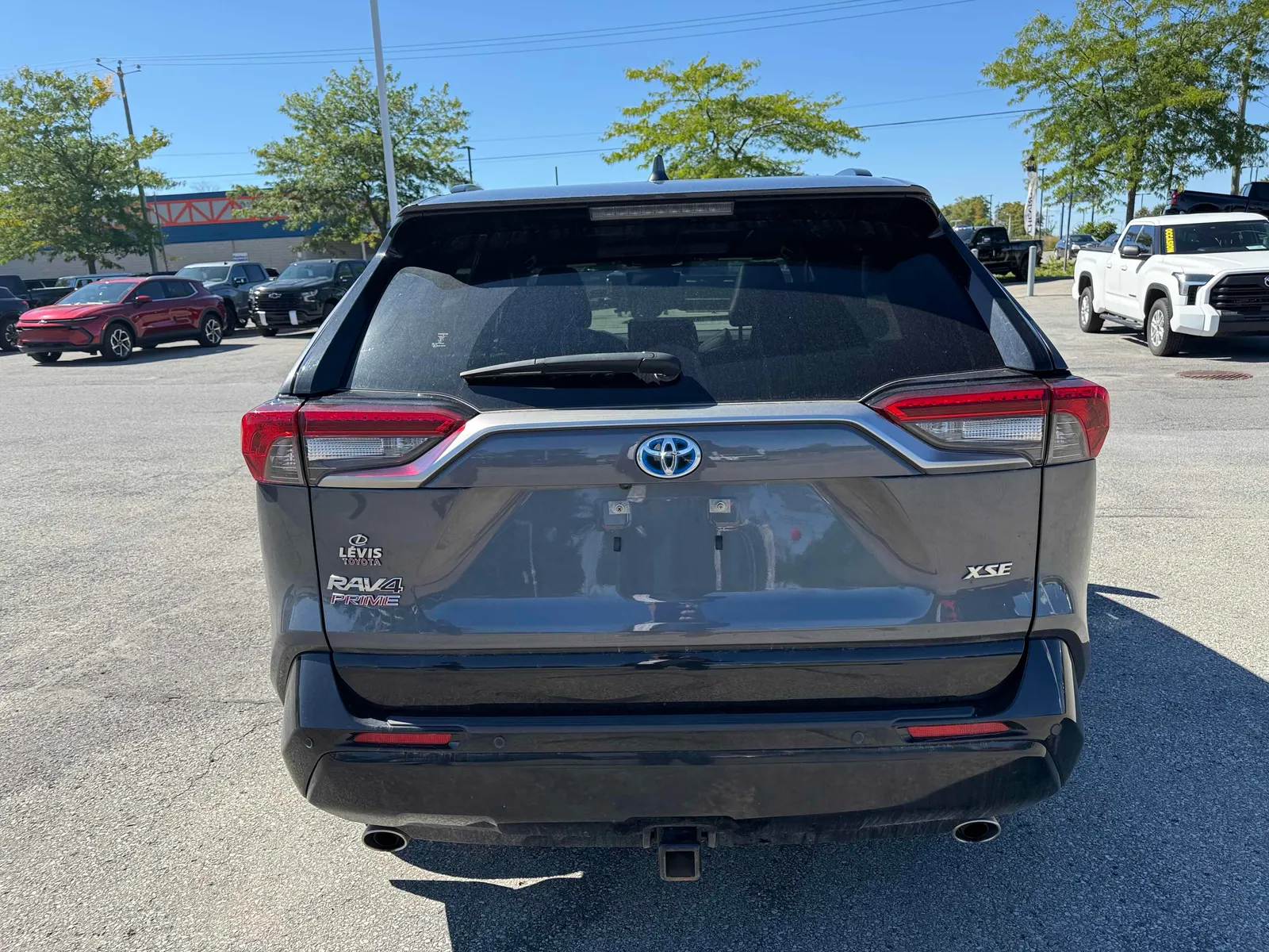 Back