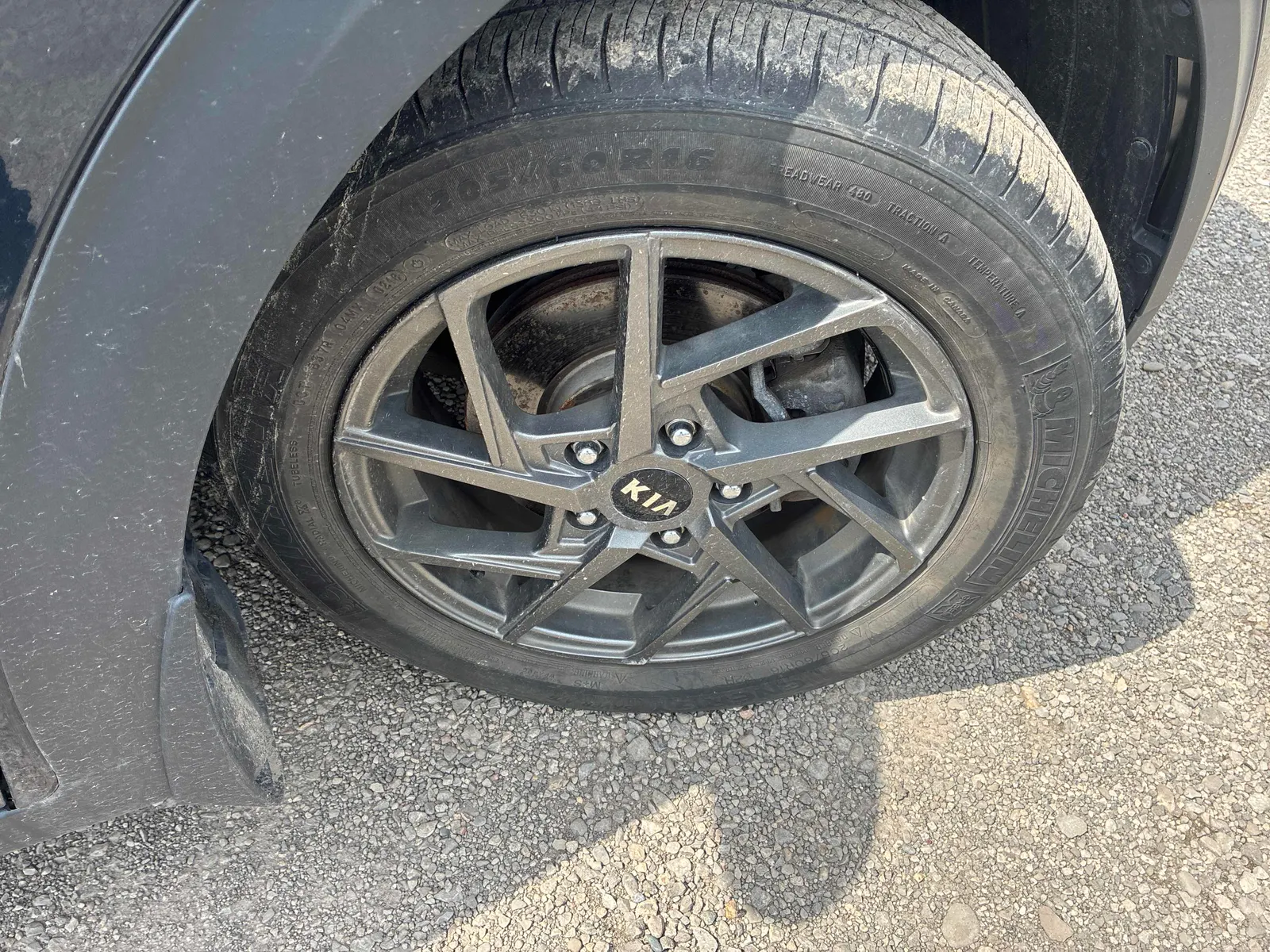 Tire