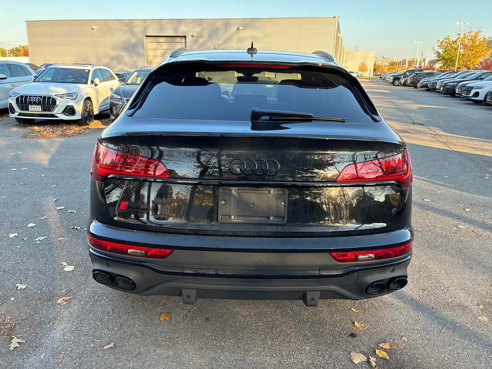Back