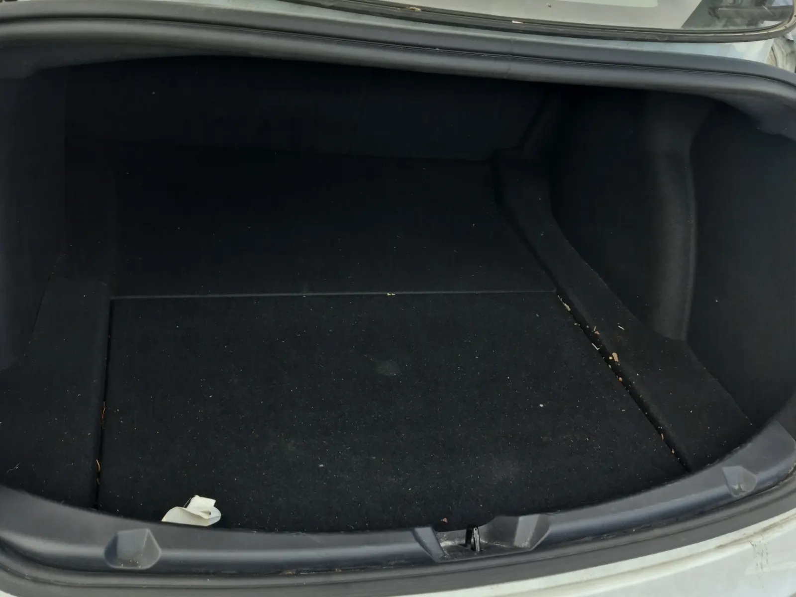 Cargo Area Photo