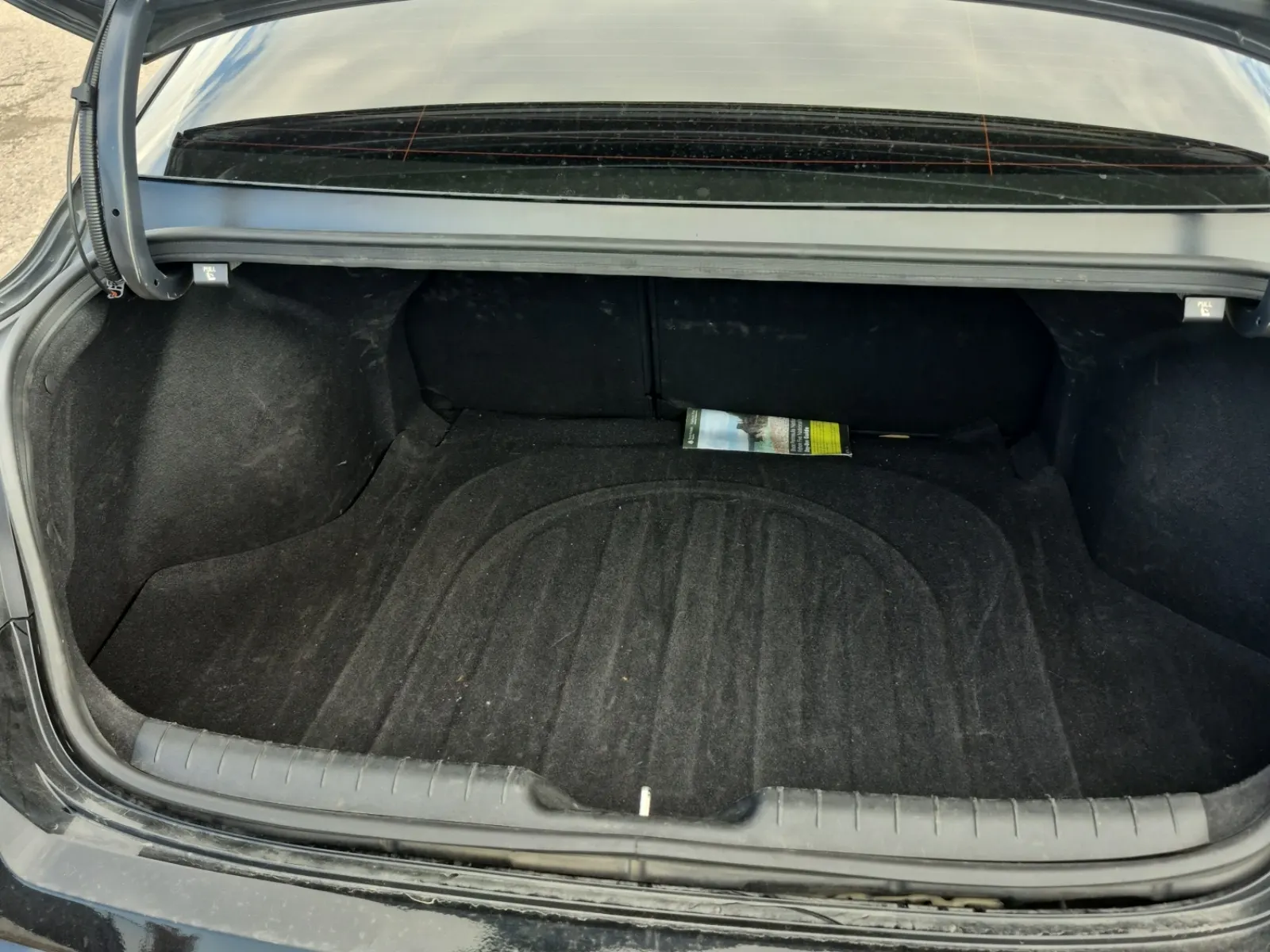 Cargo Area Photo