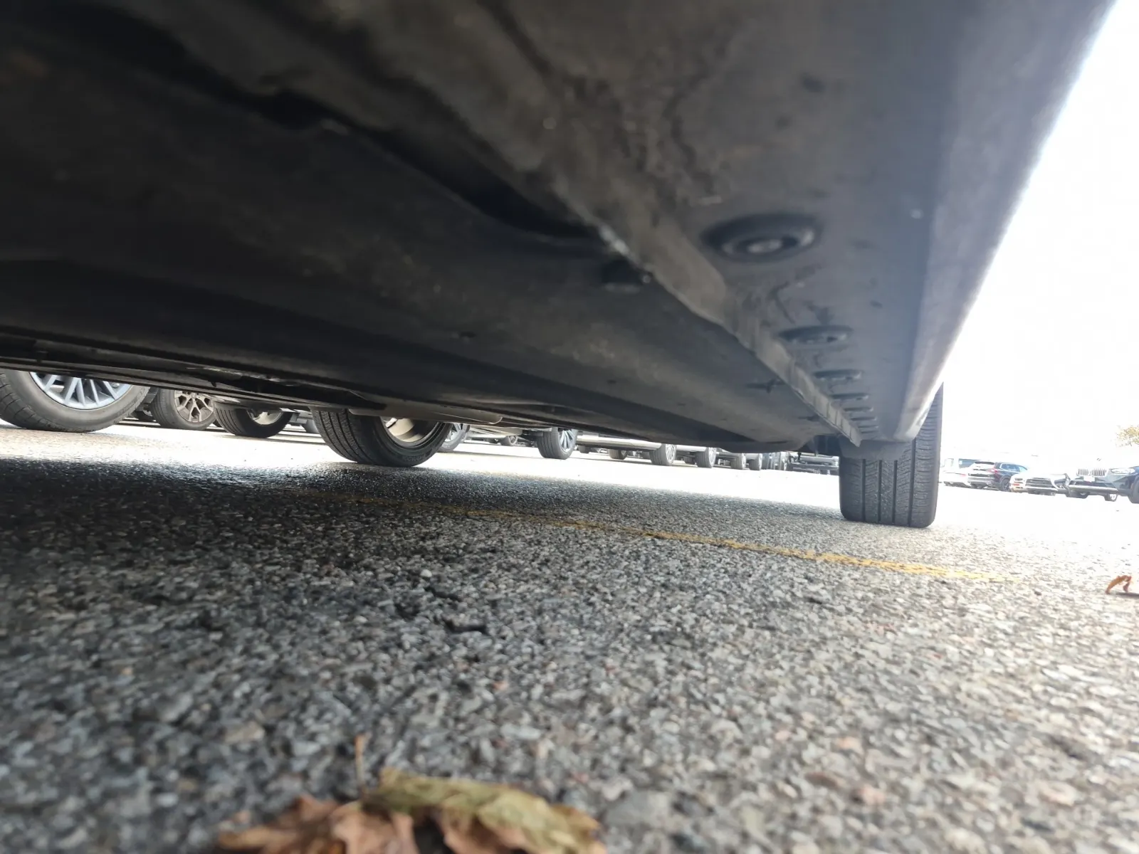 Undercarriage - Driver Photo