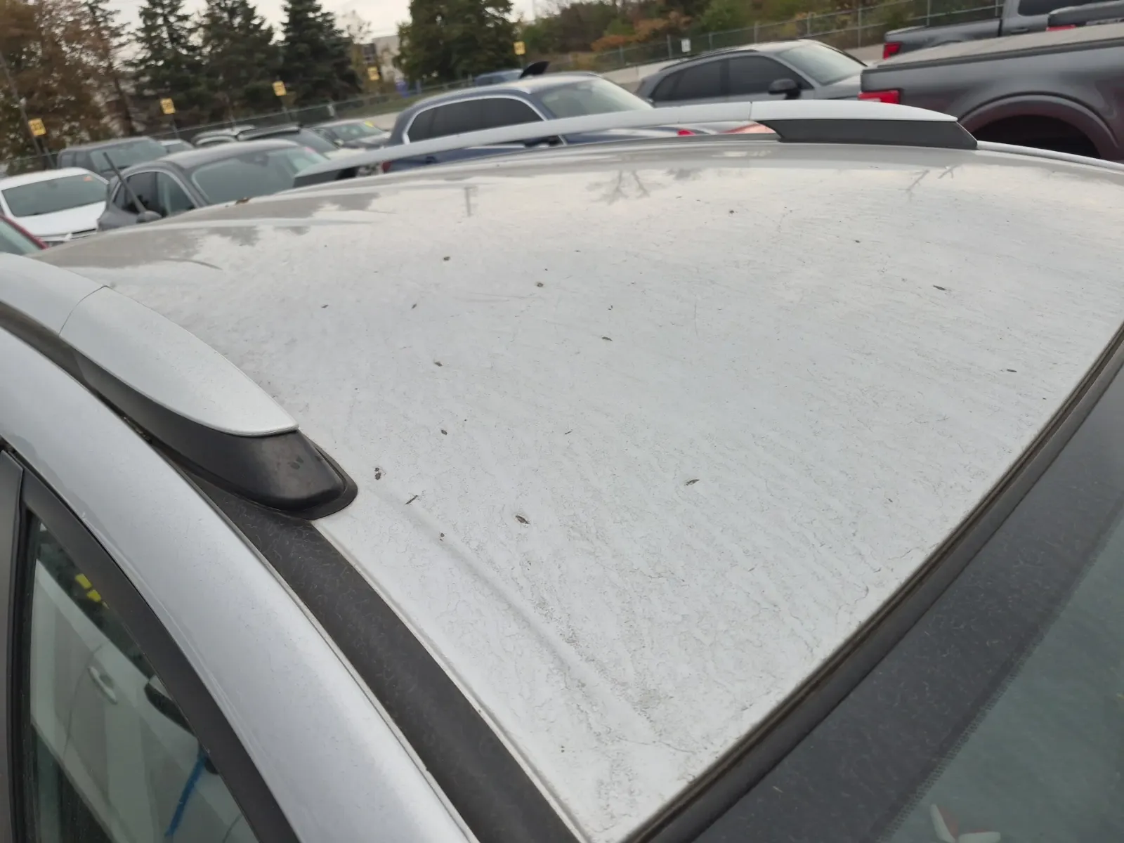 Exterior Roof Photo