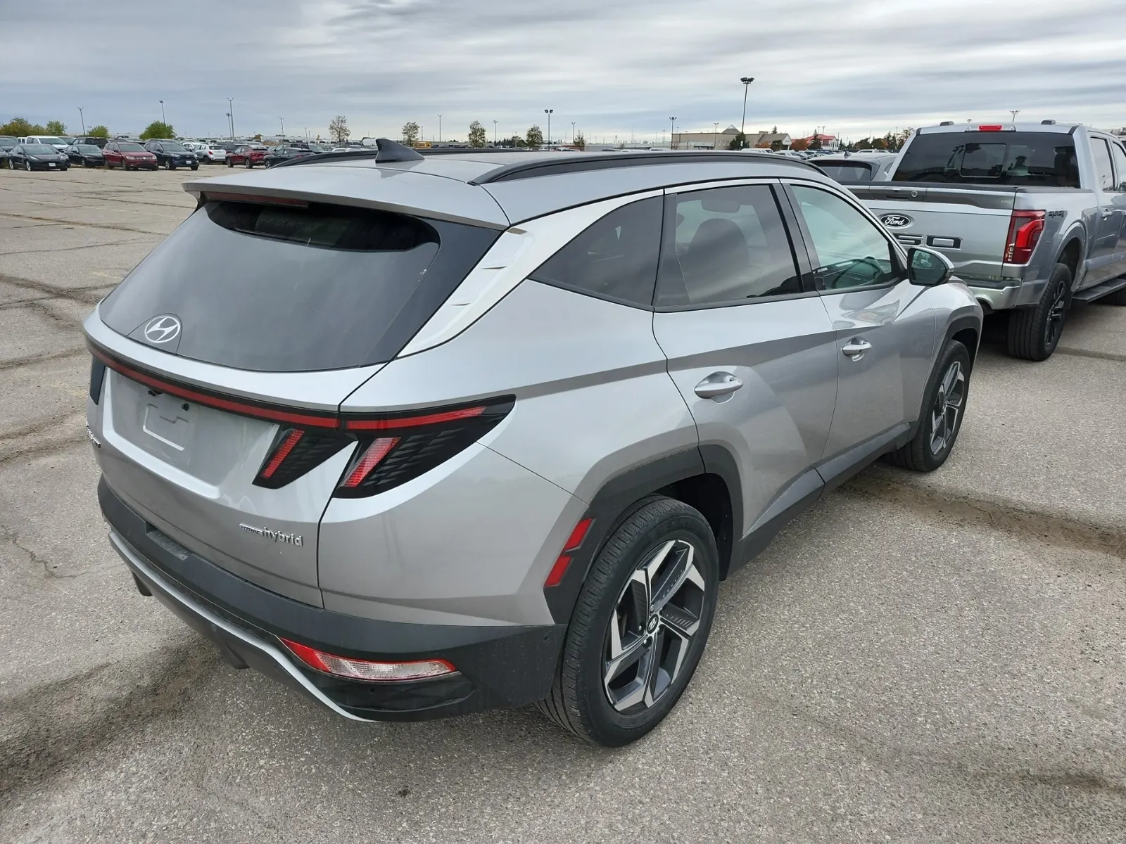 Passenger Rear 3/4 Photo