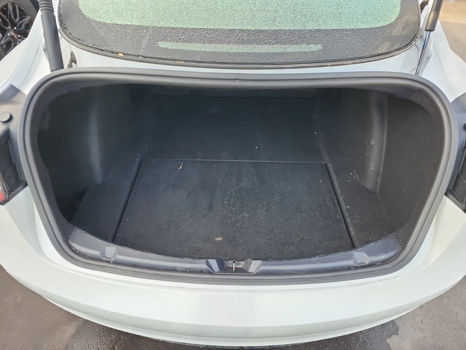 Cargo Area Photo