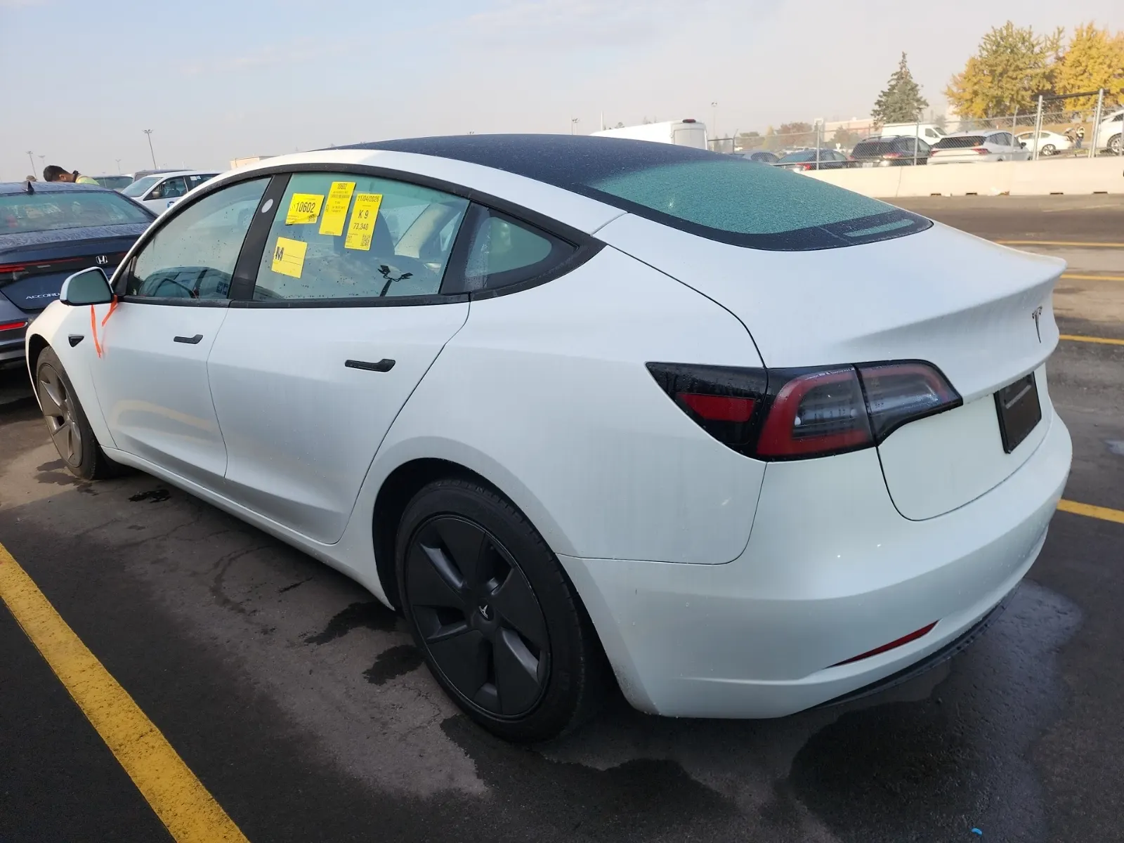 Driver Rear 3/4 Photo