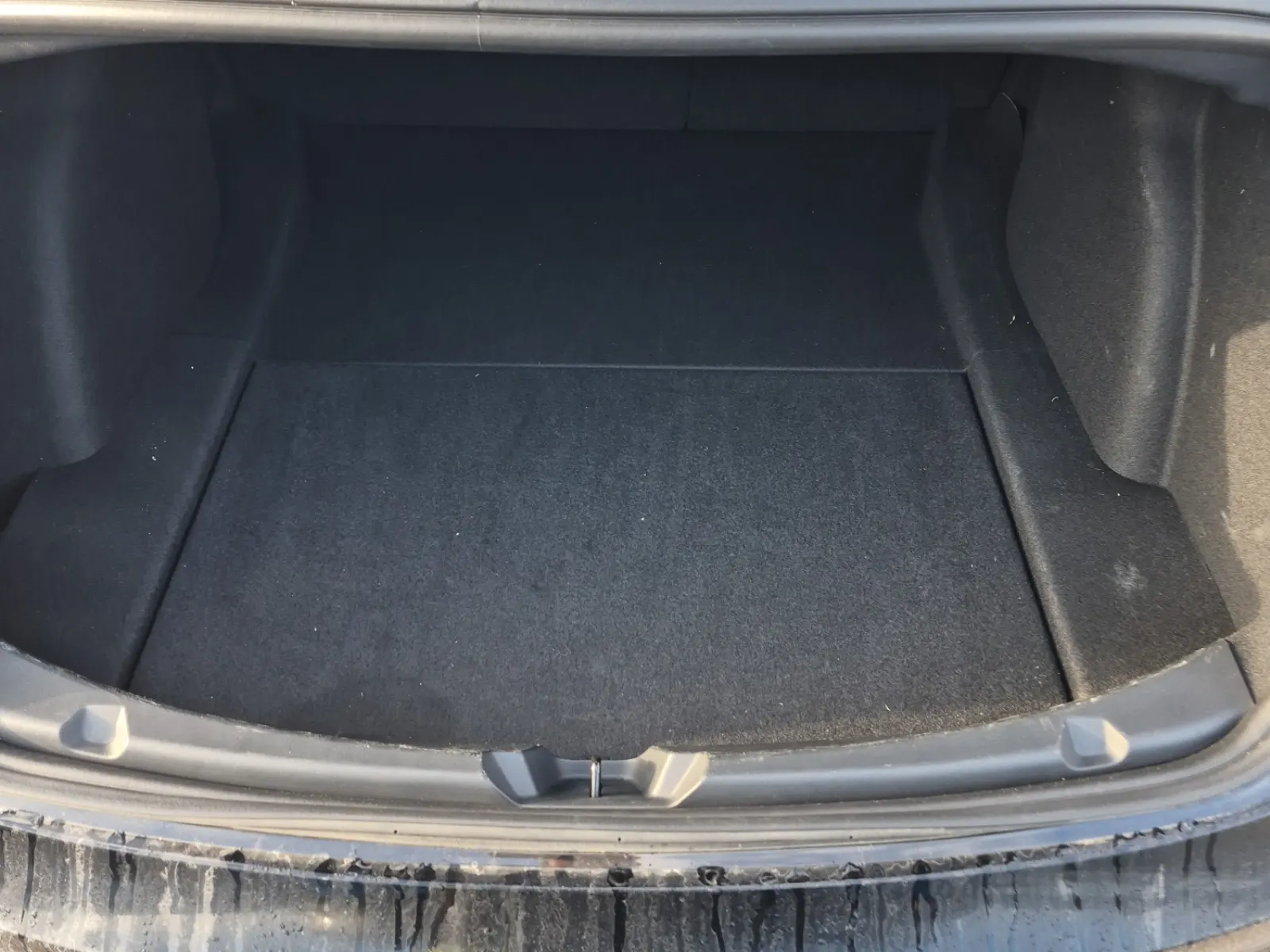Cargo Area Photo