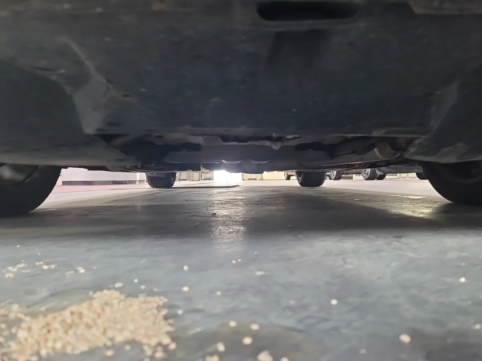 Undercarriage - Front Photo