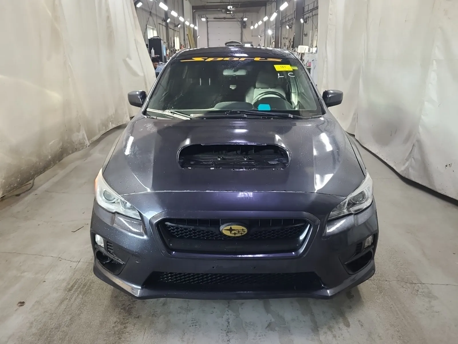 Full Front Photo