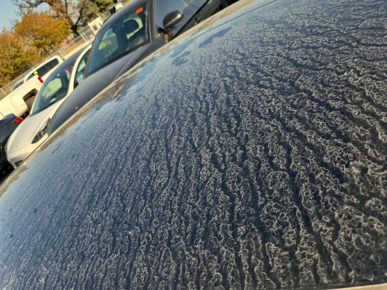 Exterior Roof Photo