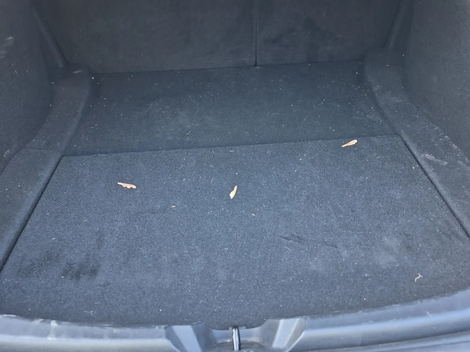 Cargo Area Photo