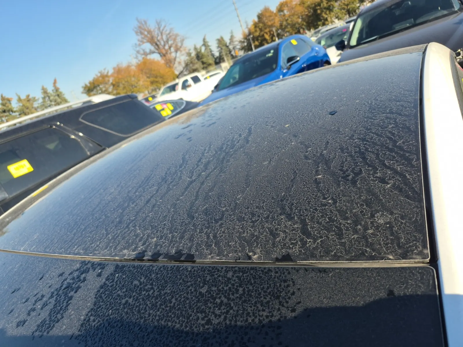 Exterior Roof Photo