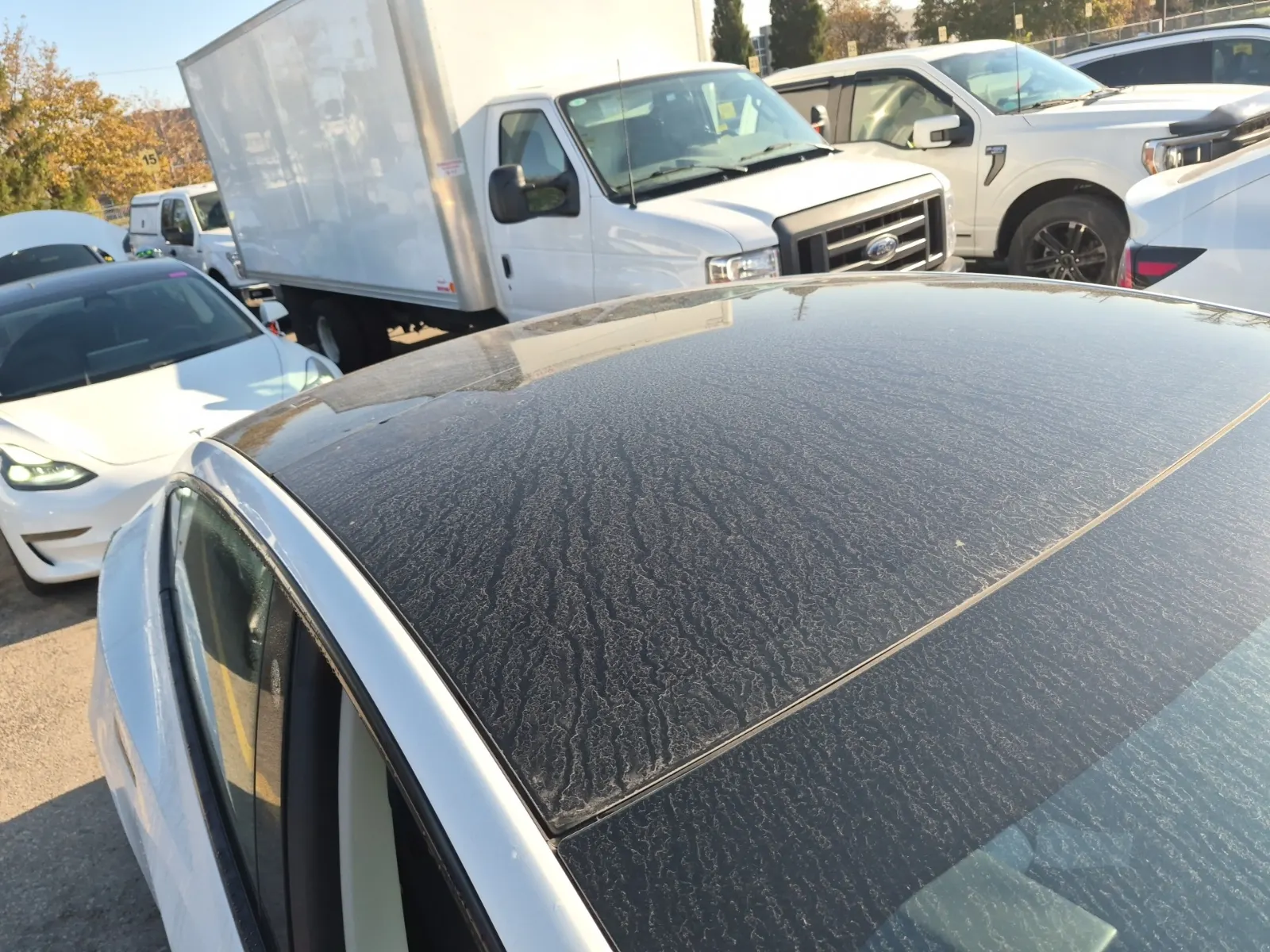 Exterior Roof Photo