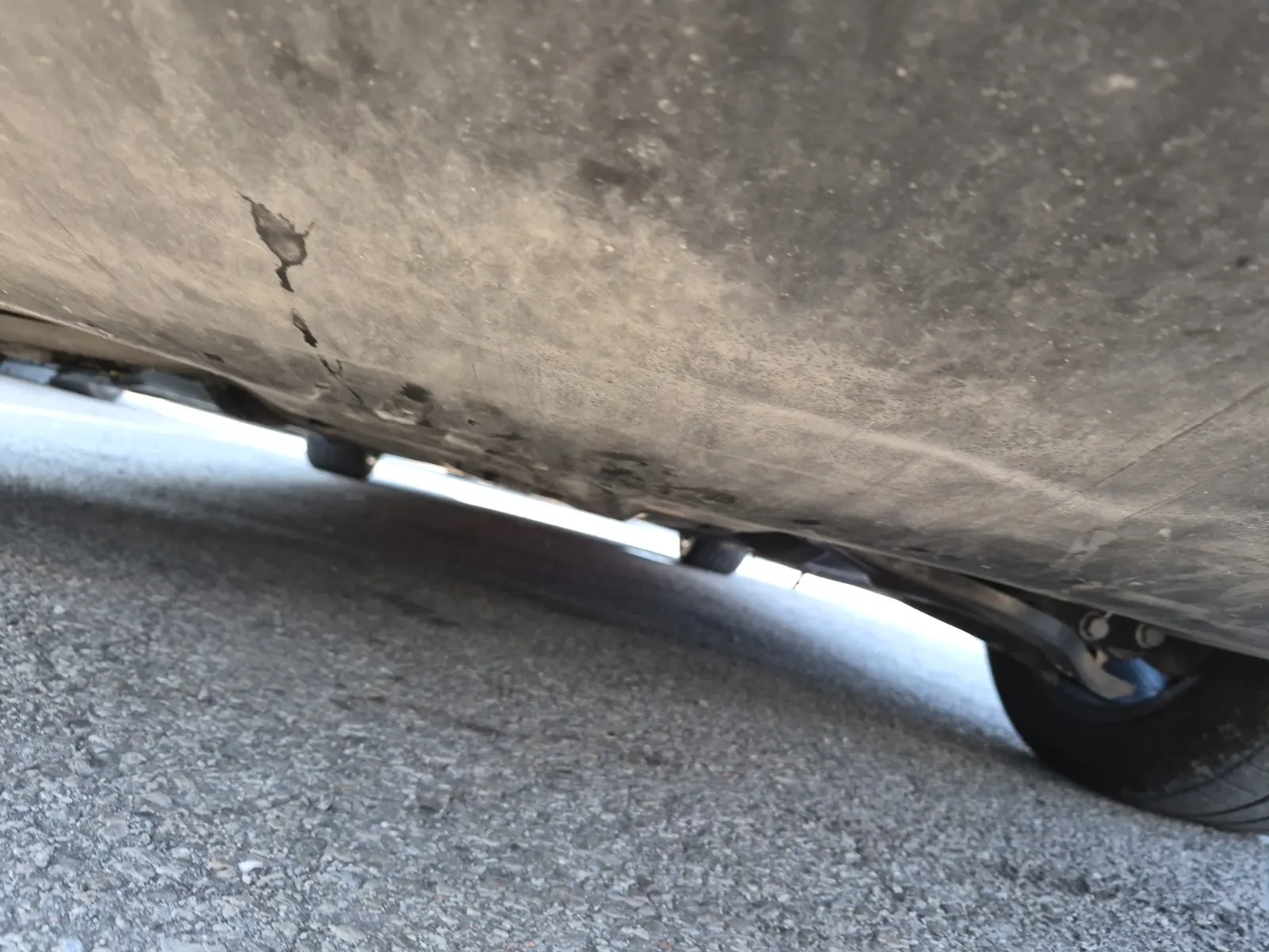 Undercarriage - Rear Photo
