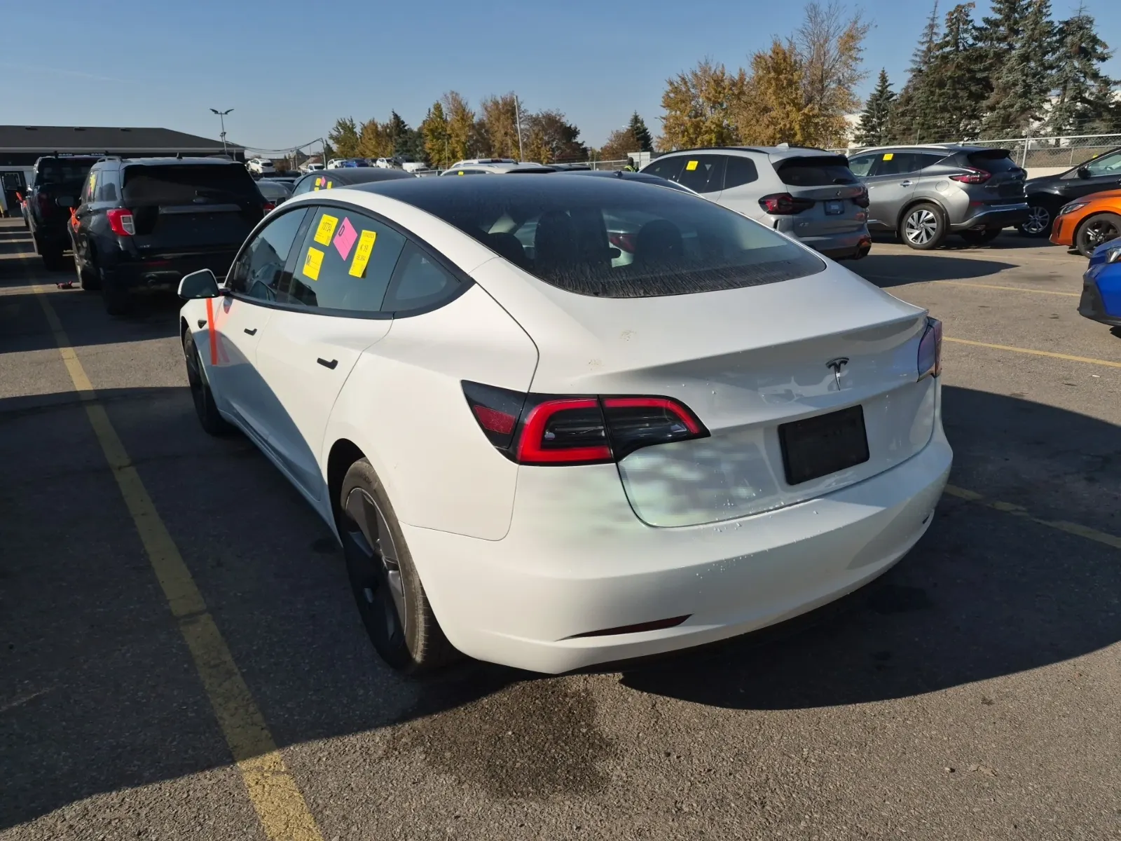 Driver Rear 3/4 Photo