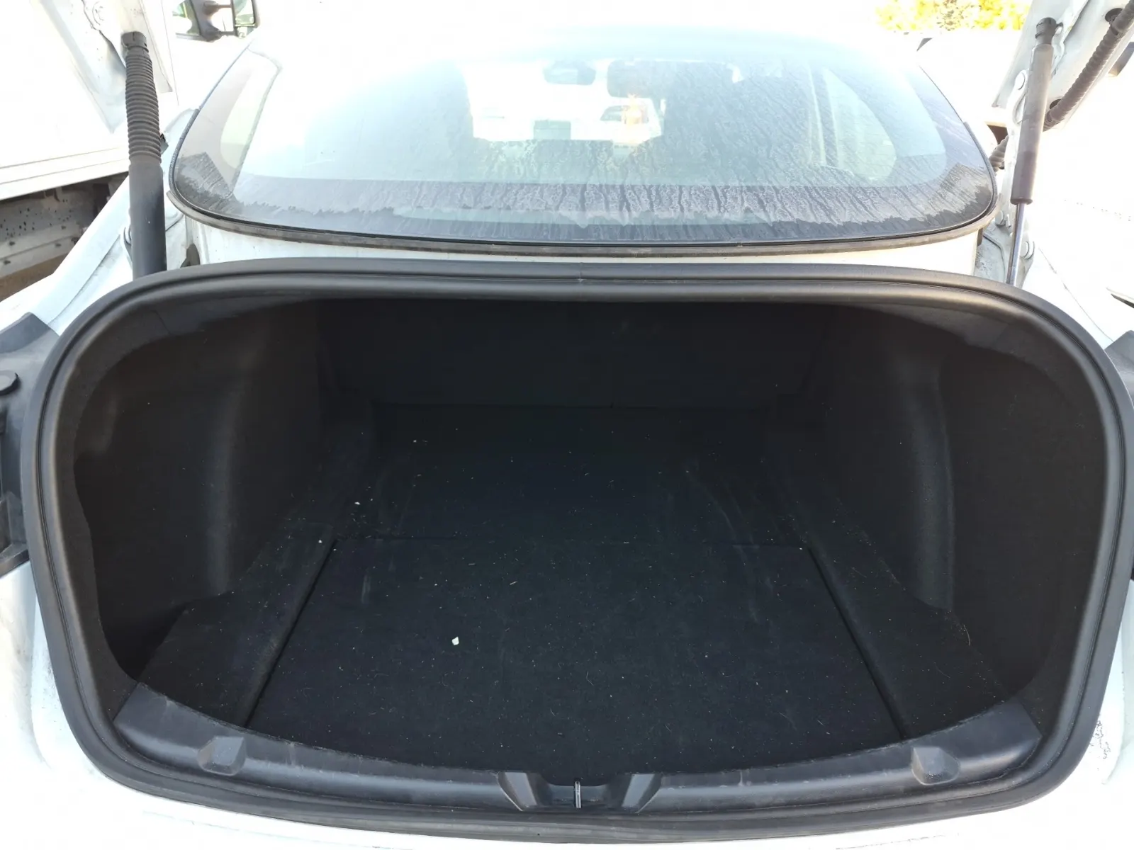 Cargo Area Photo