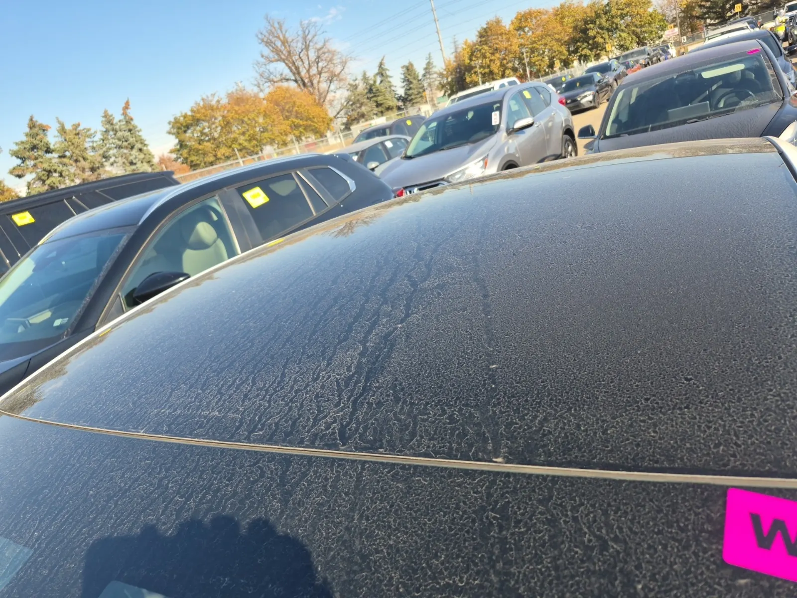 Exterior Roof Photo