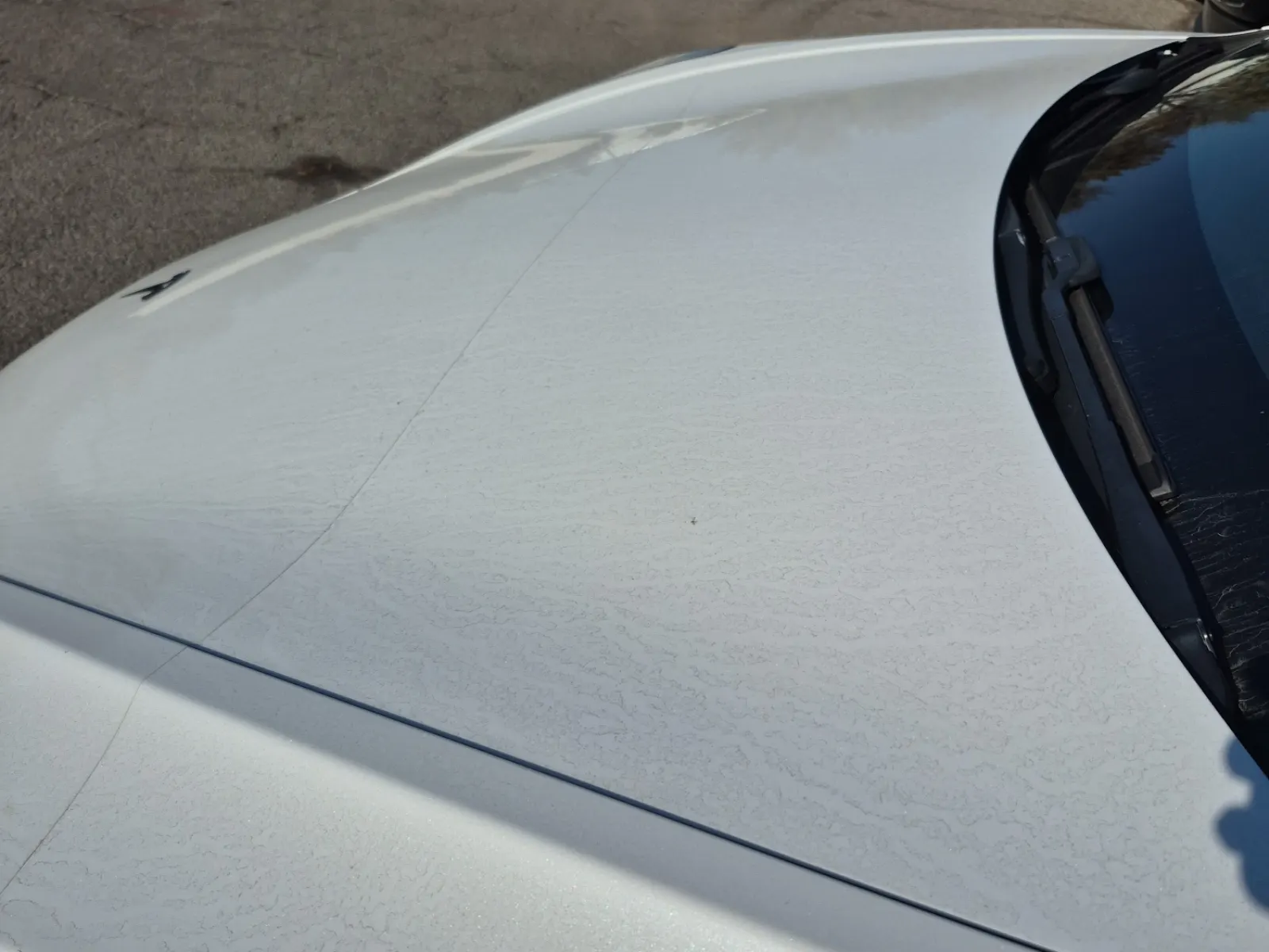 Emission Sticker Photo
