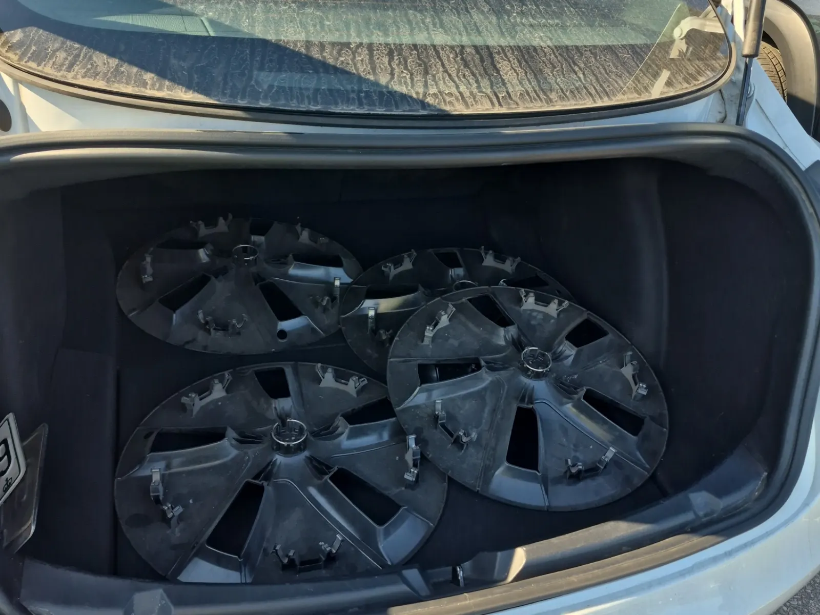 Cargo Area Photo