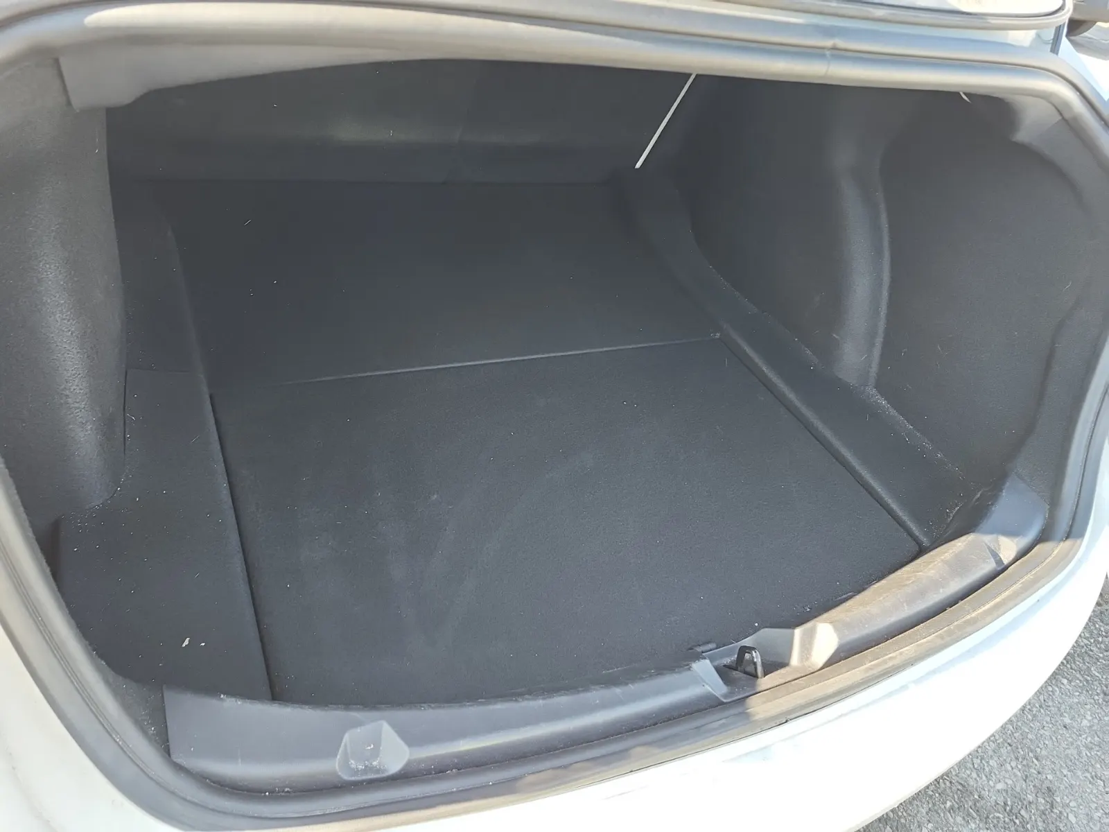 Cargo Area Photo