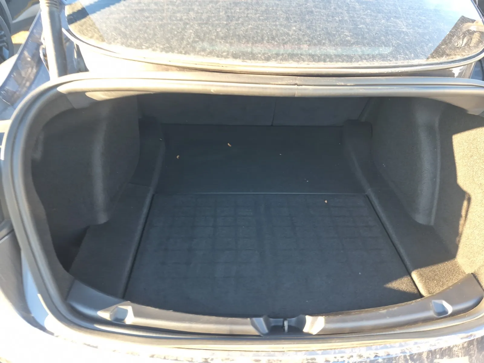 Cargo Area Photo