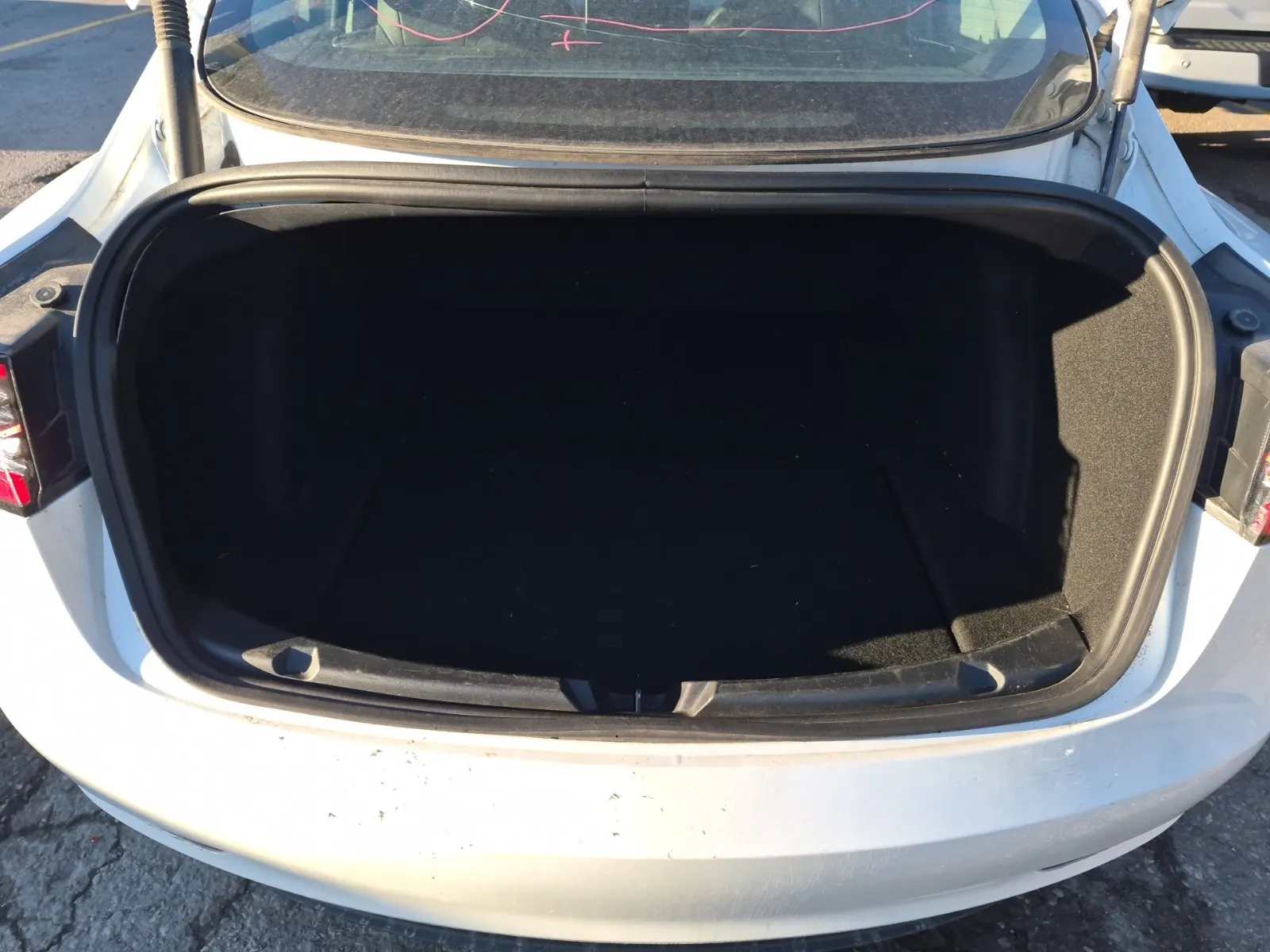 Cargo Area Photo