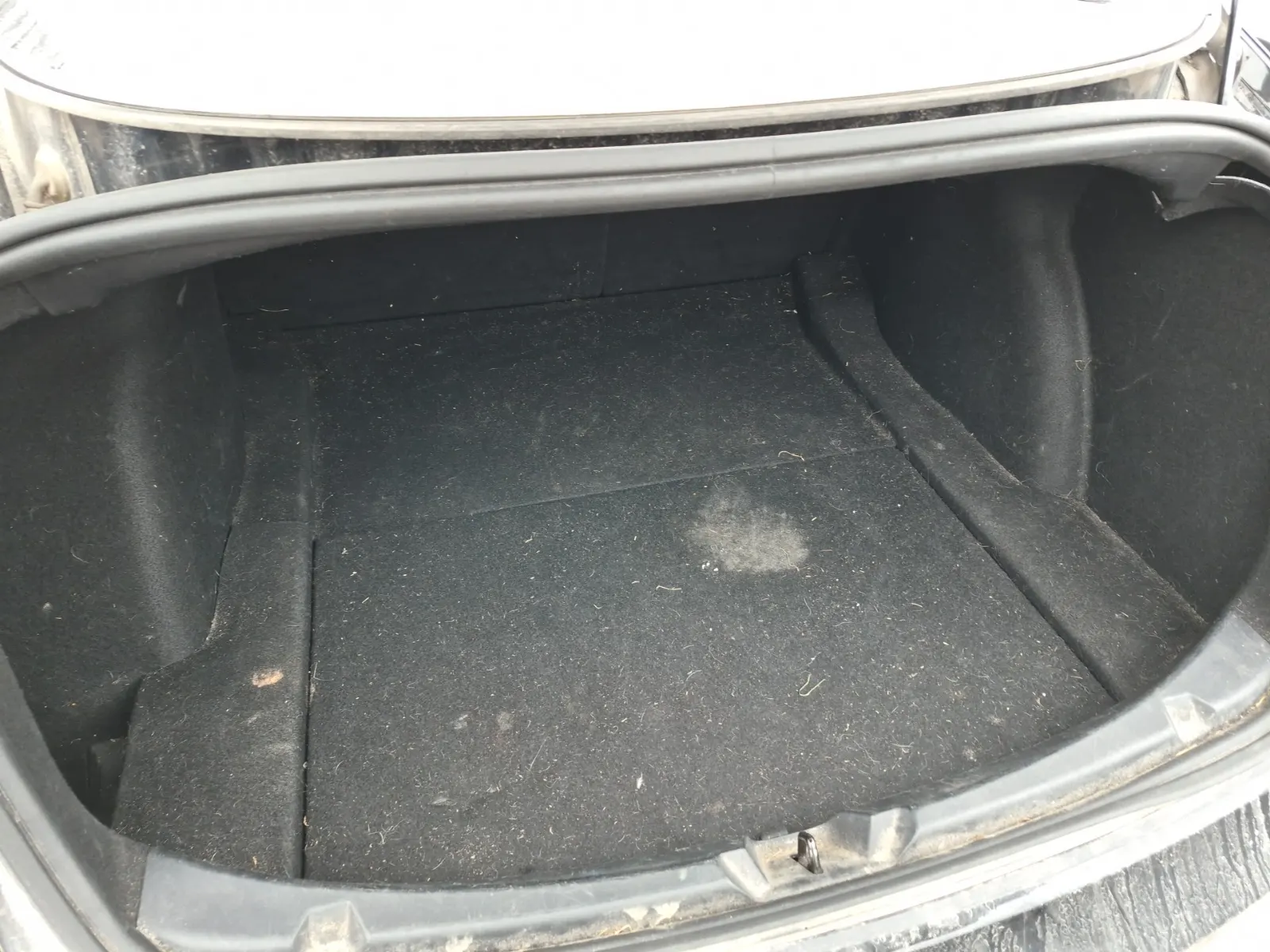 Cargo Area Photo