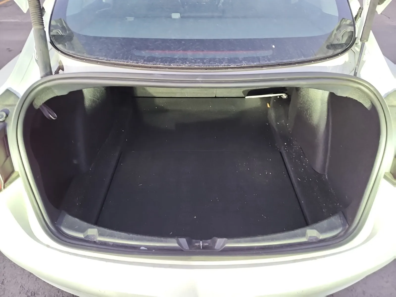 Cargo Area Photo