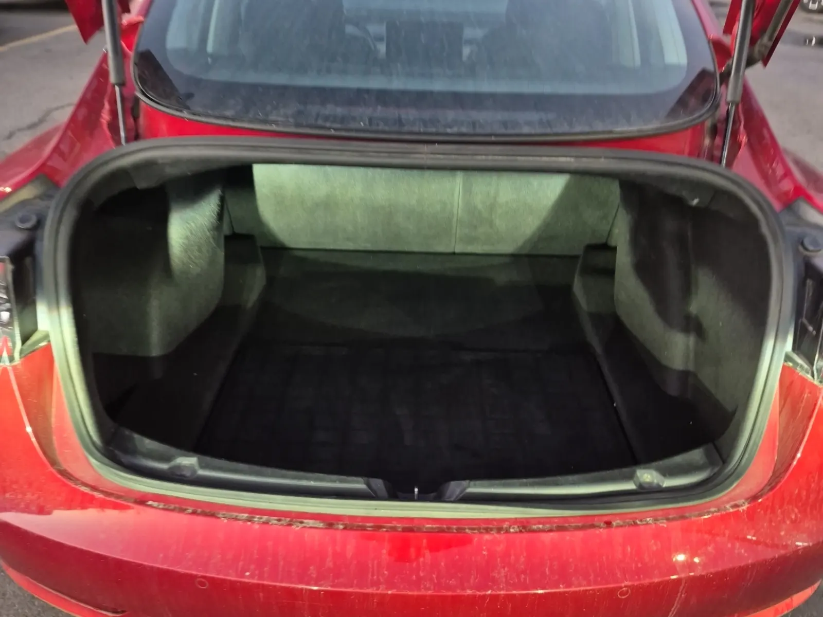 Cargo Area Photo
