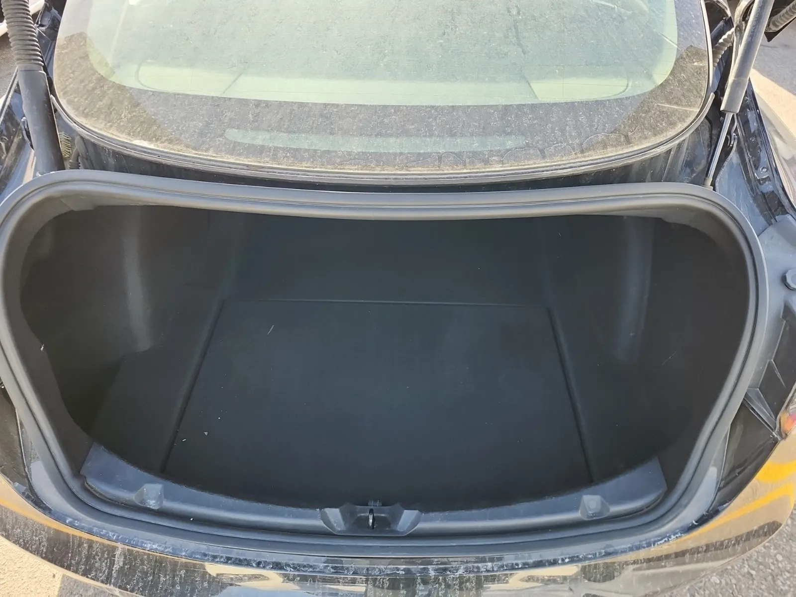 Cargo Area Photo