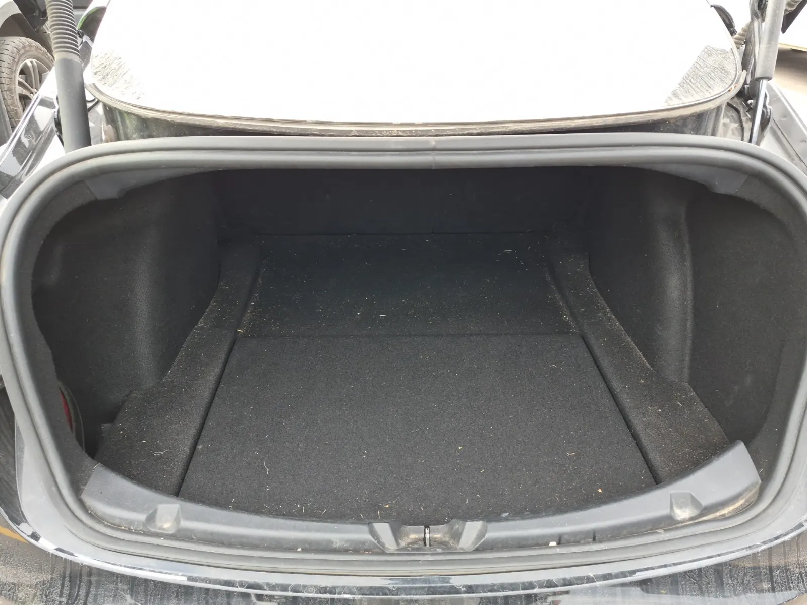 Cargo Area Photo