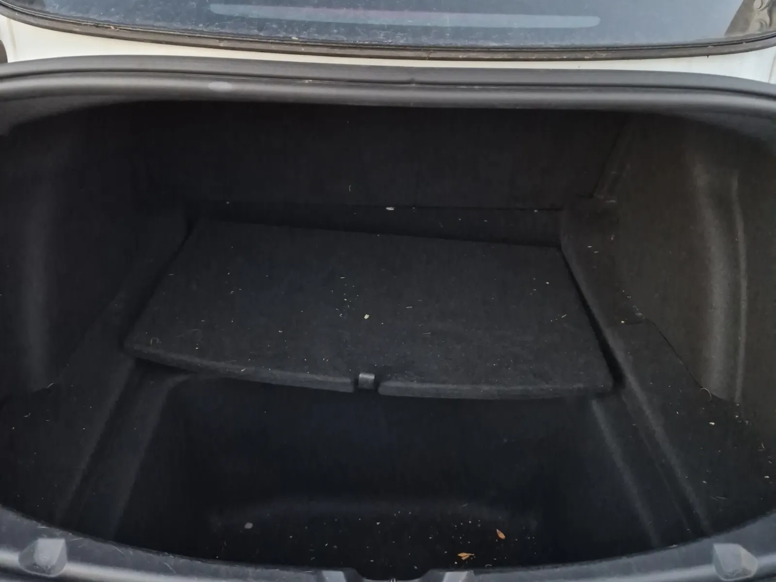 Cargo Area Photo