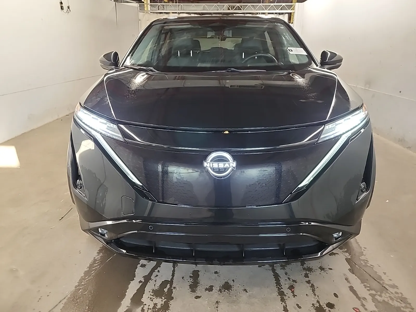 Full Front Photo