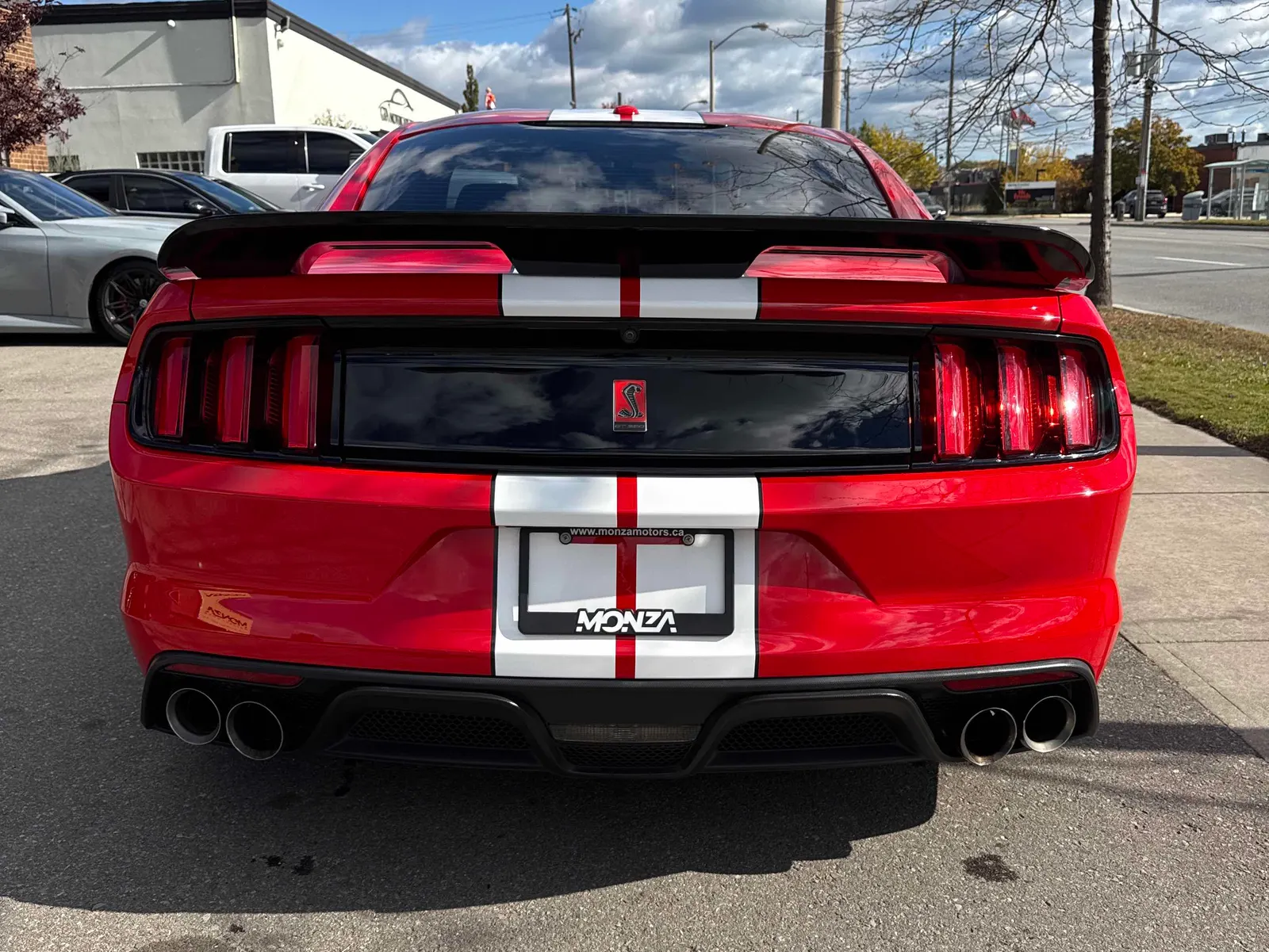 Back