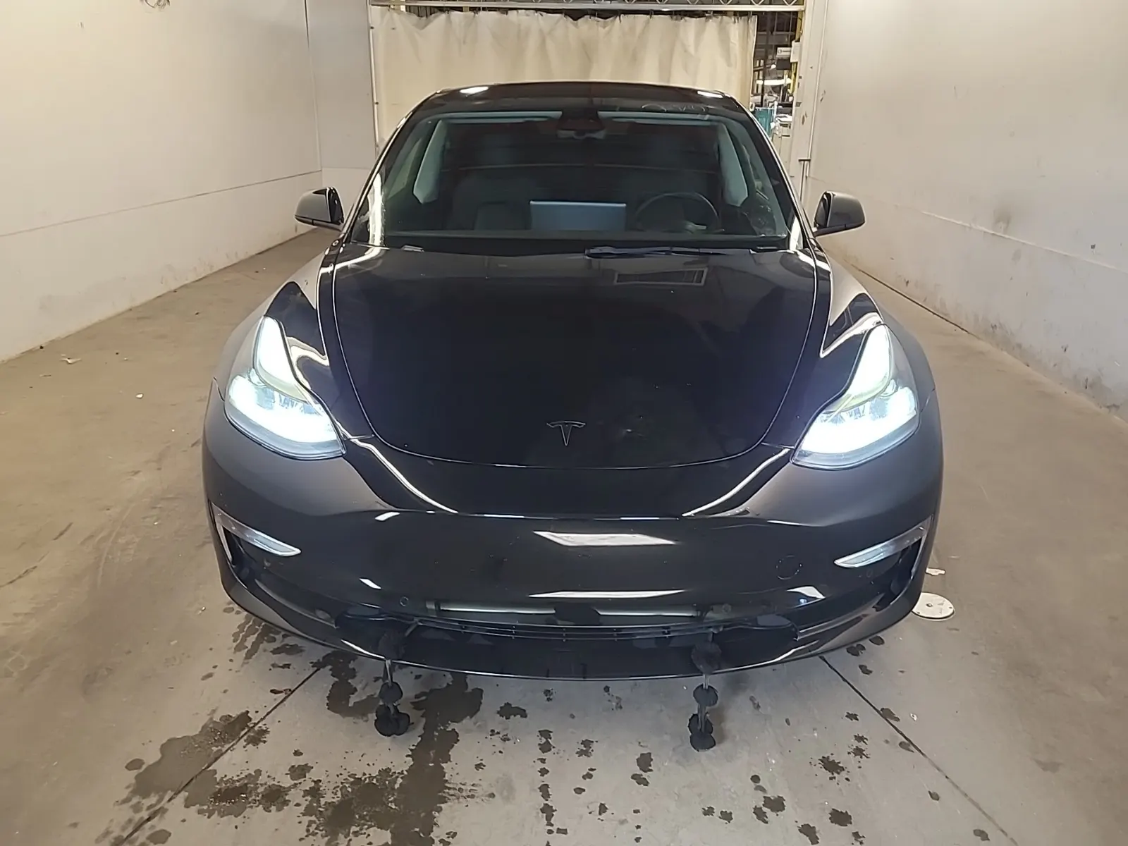 Full Front Photo