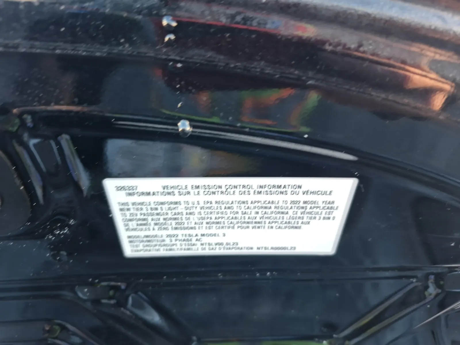 Emission Sticker Photo