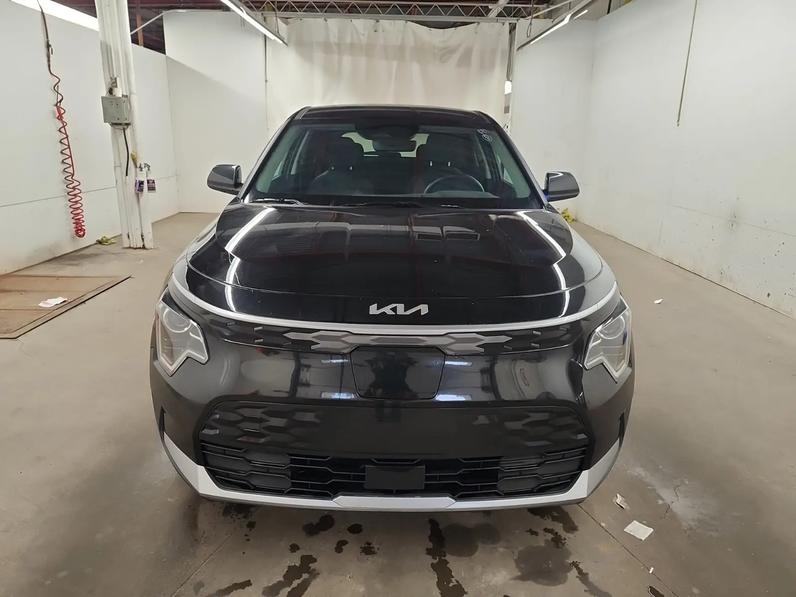 Full Front Photo