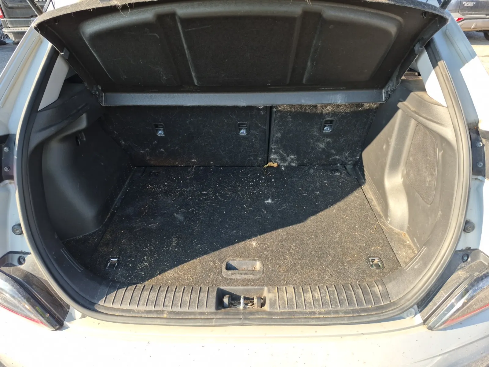Cargo Area Photo