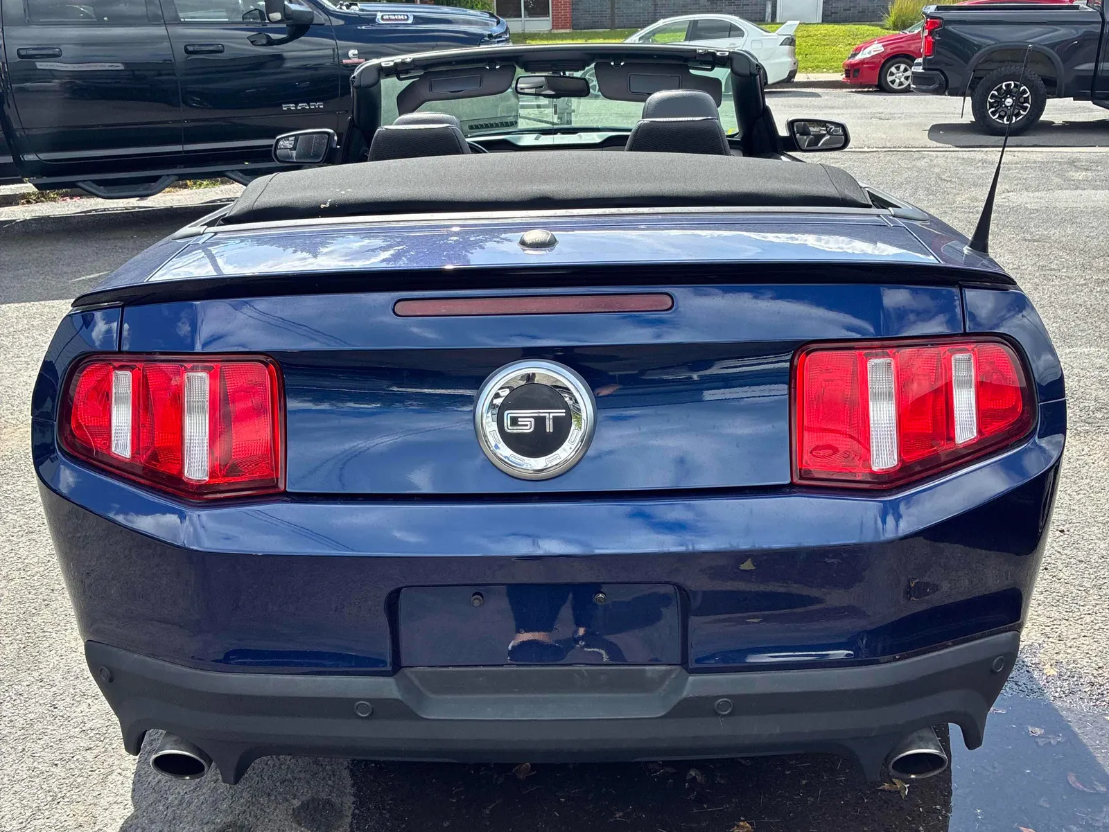 Back