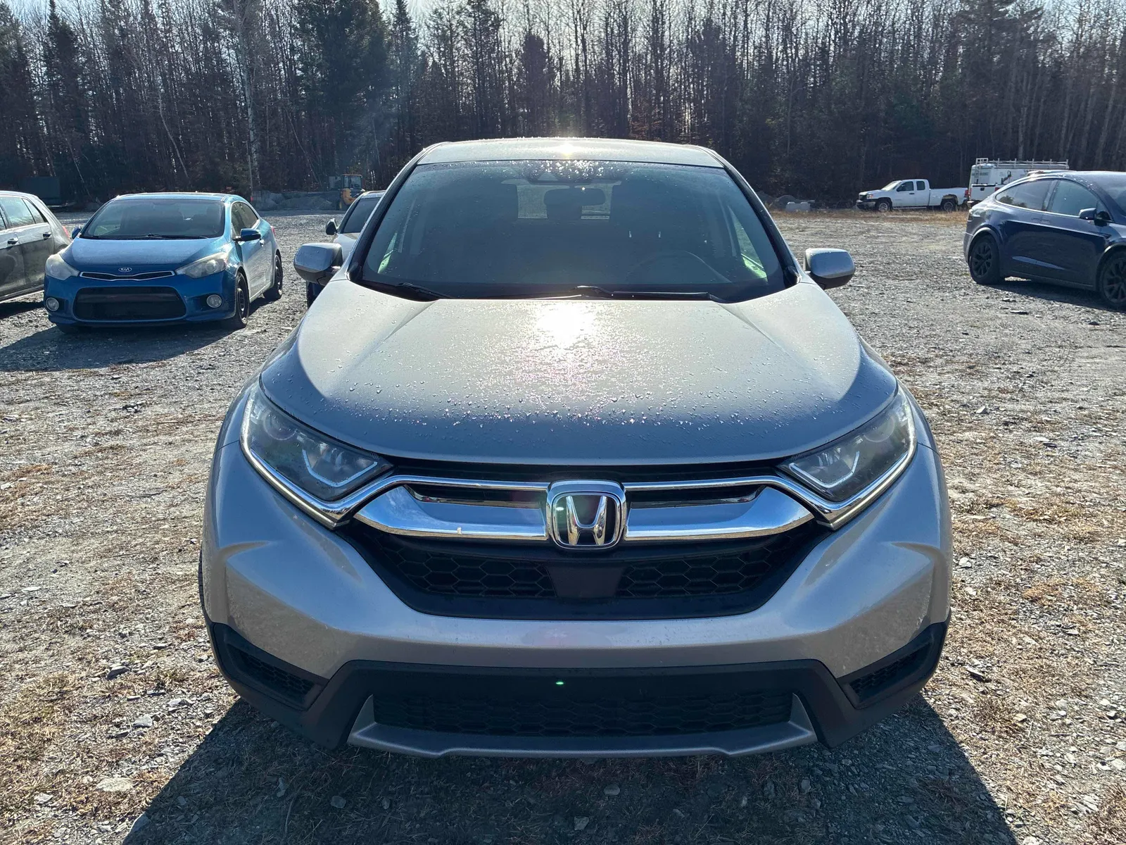 Front