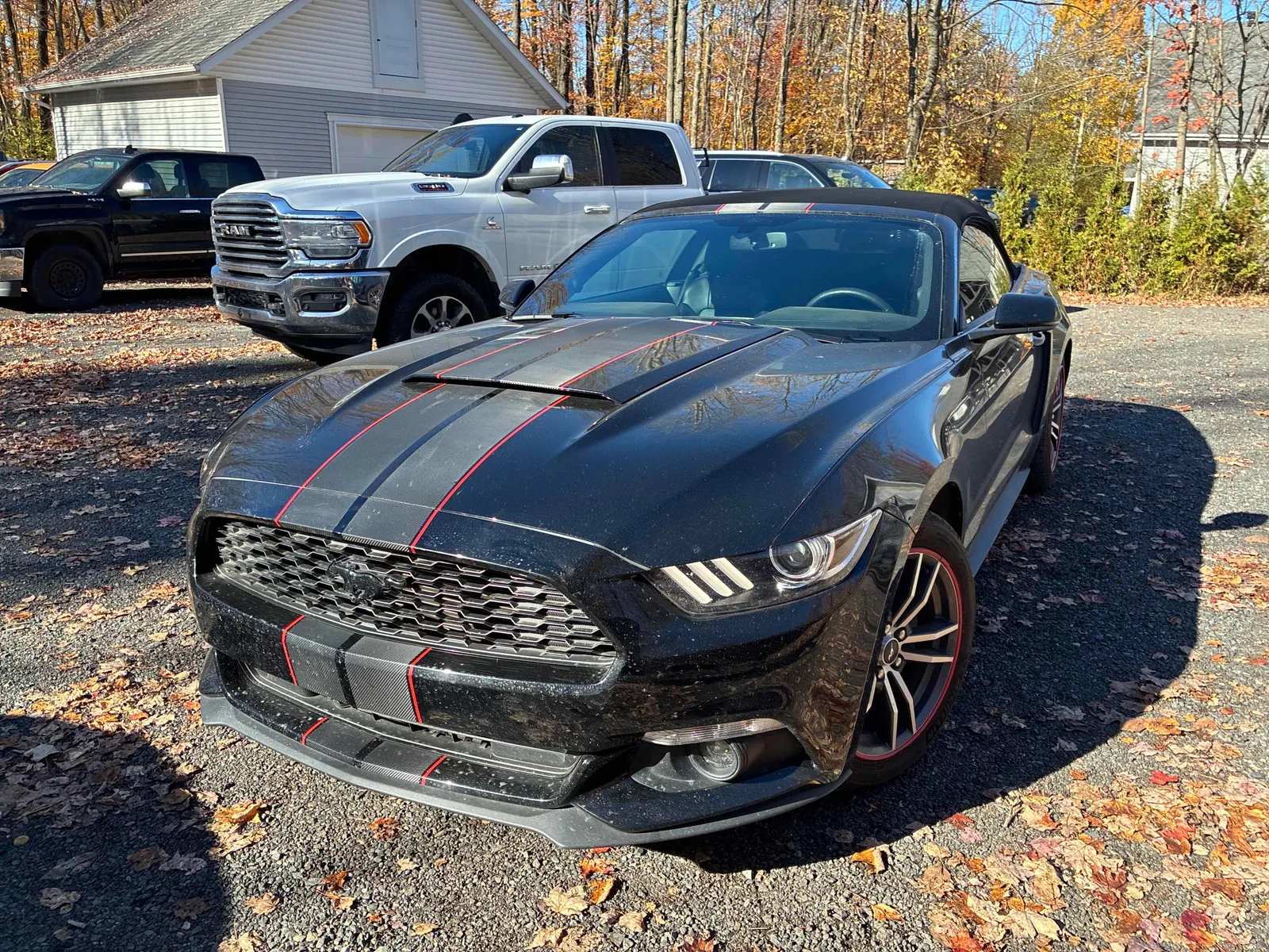 3/4 Front (Main image)