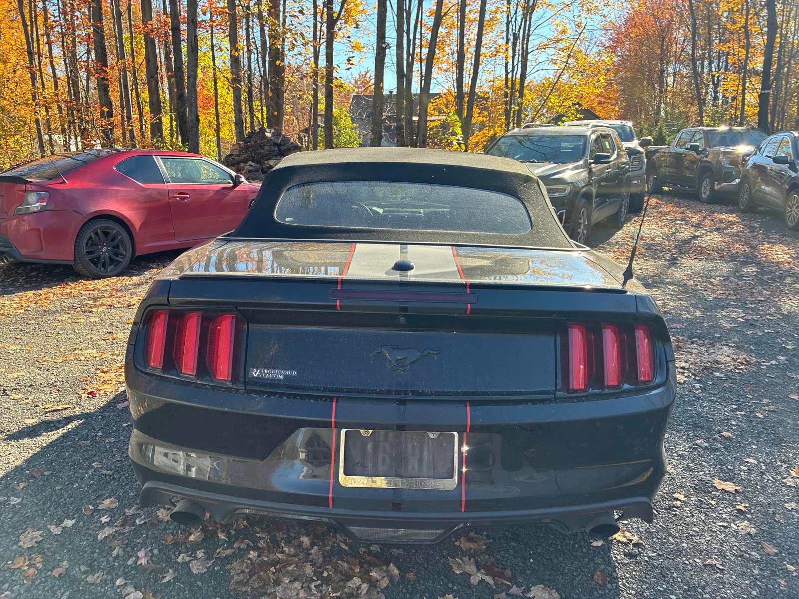 Back
