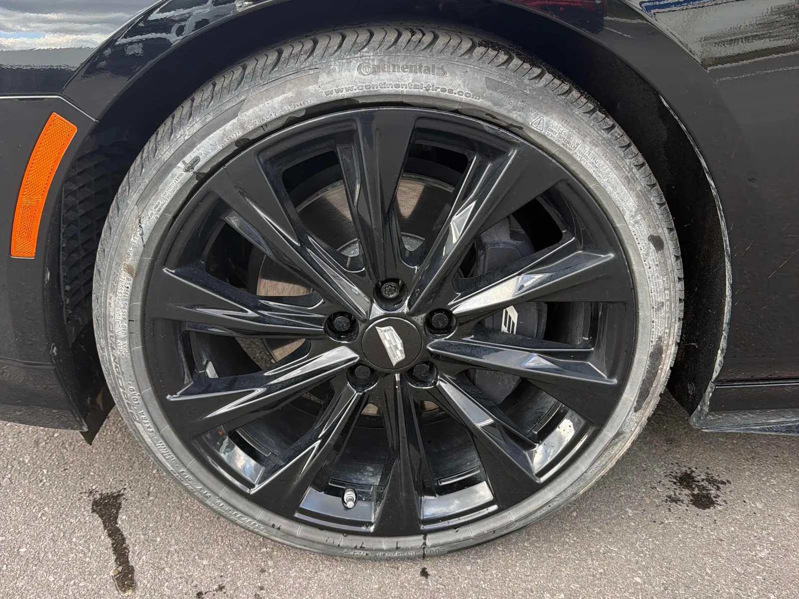 Tire