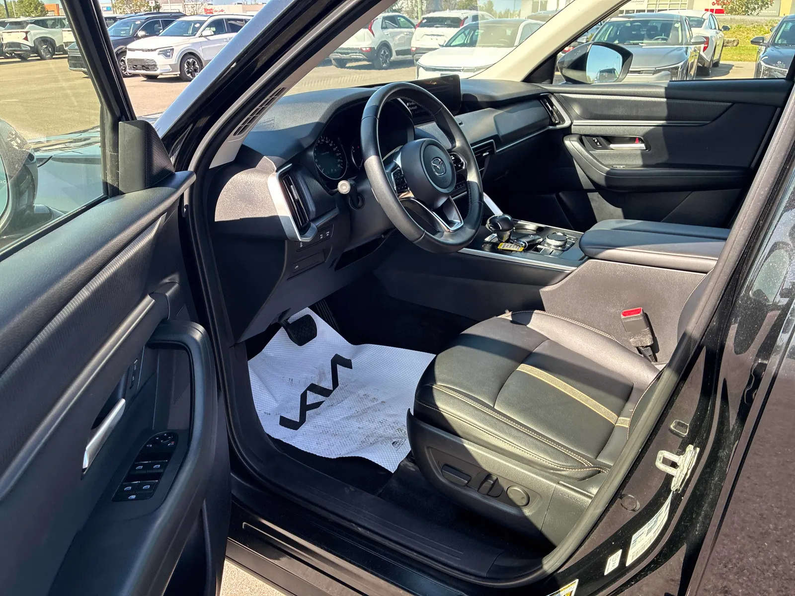 Interior driver side