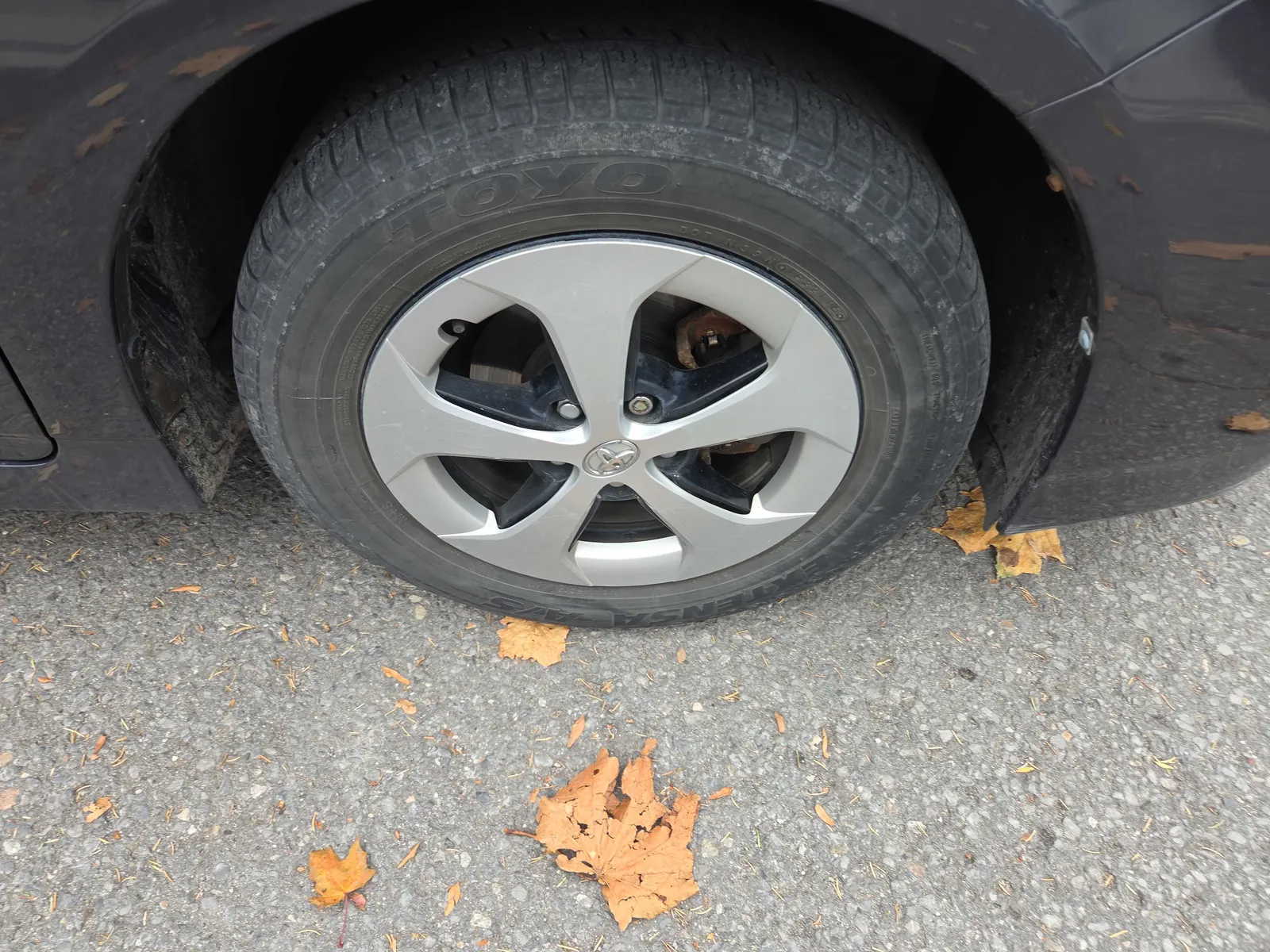 Tire