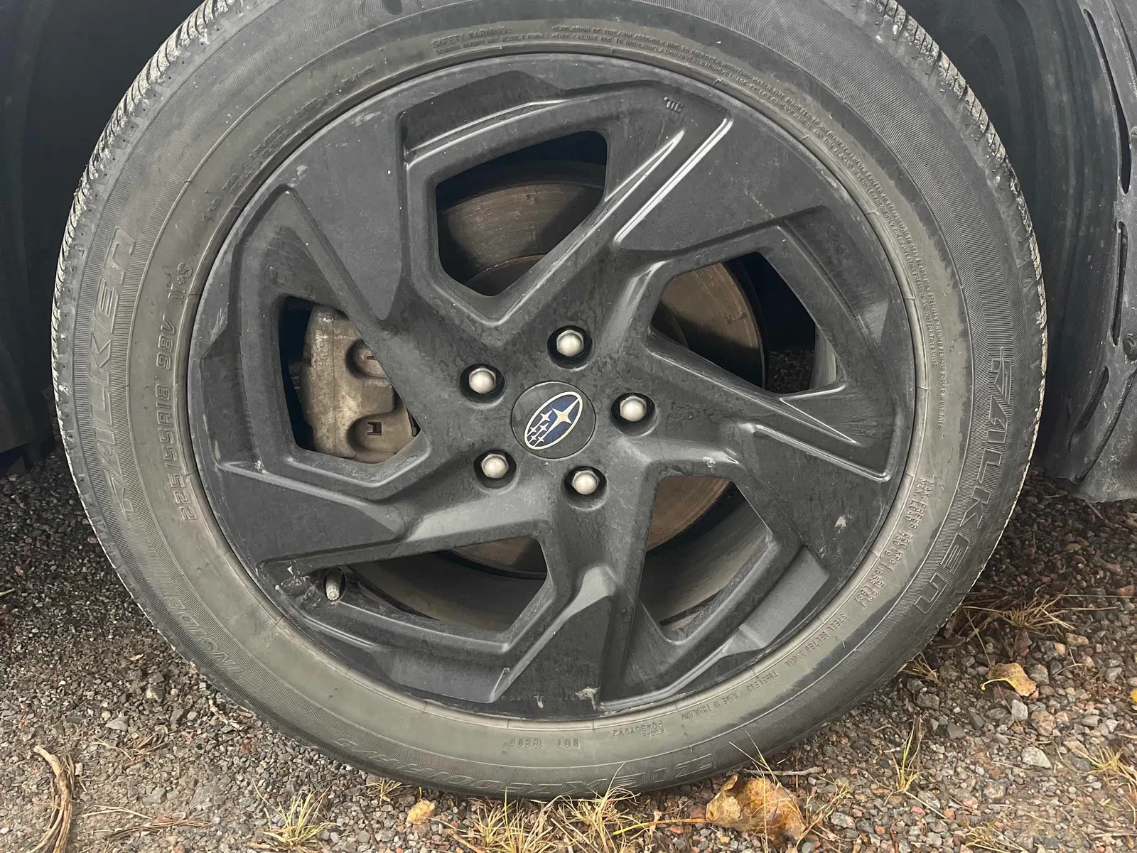 Additional Photo